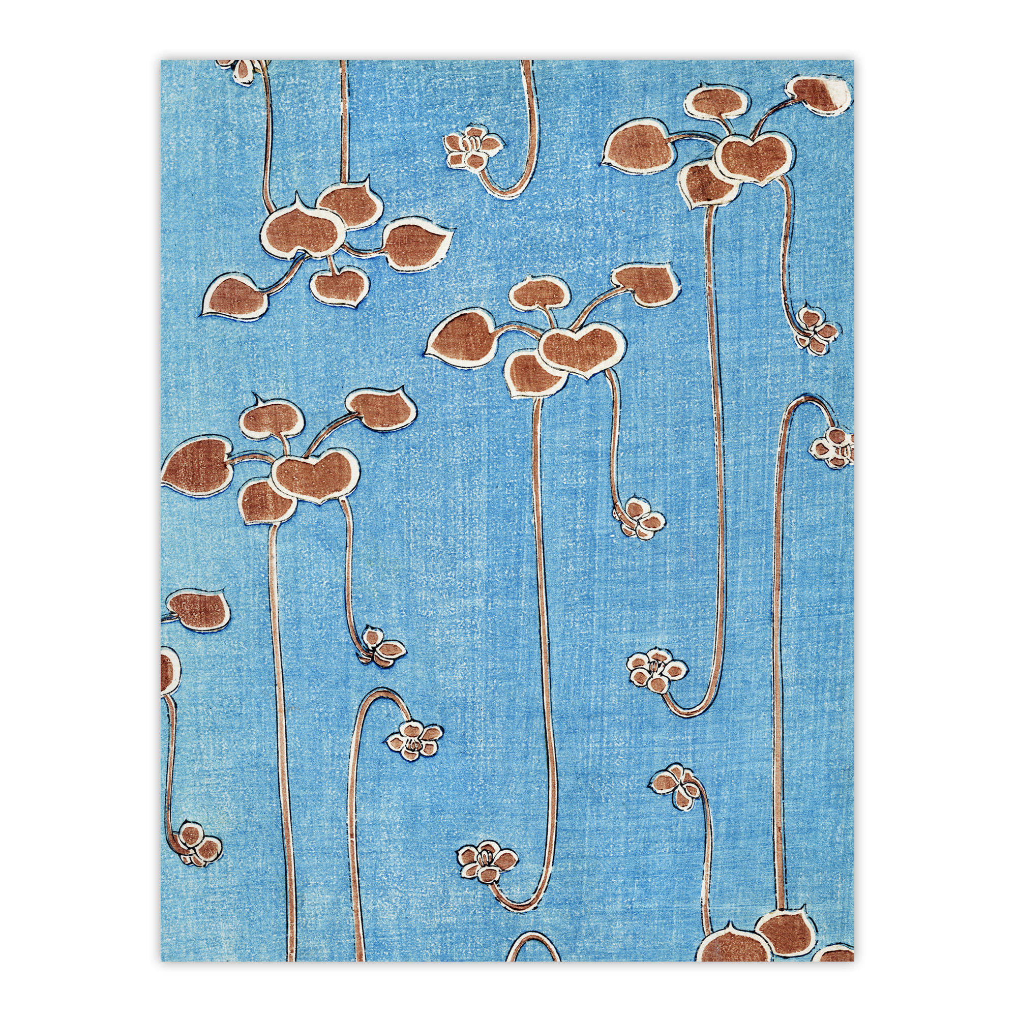 Vine Illustration Vintage Japan Framed Wall Art Print Shin Bijutsukai