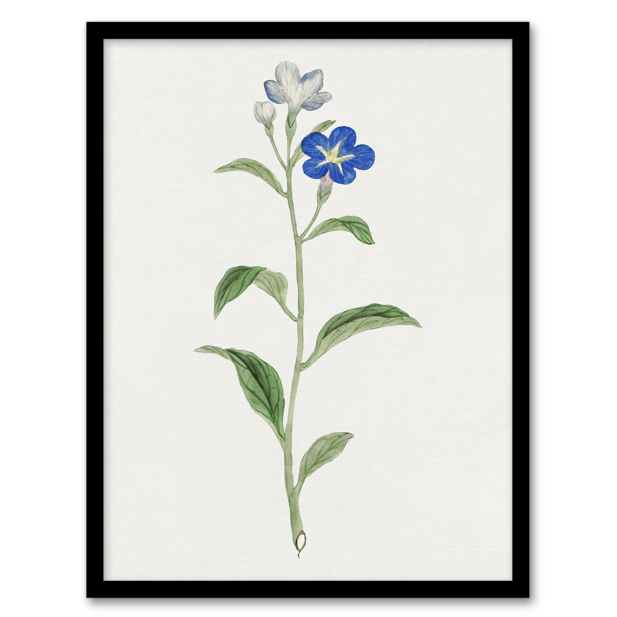 Vintage Japanese Botanical Framed Wall Art Print Blue Flower Home Décor A3/A4
