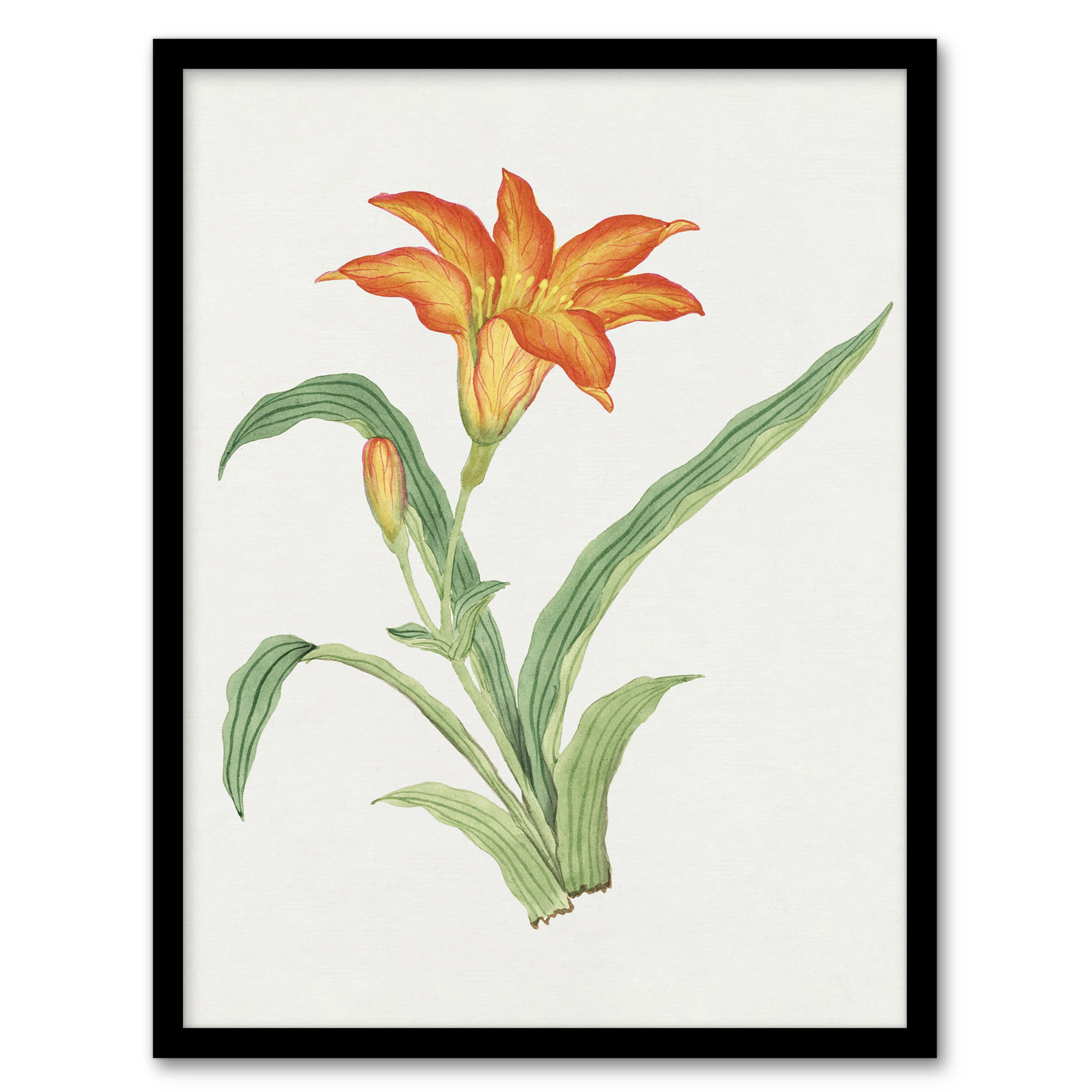 Vintage Japanese Botanical Framed Wall Art Print Orange Lily Flower Home Décor