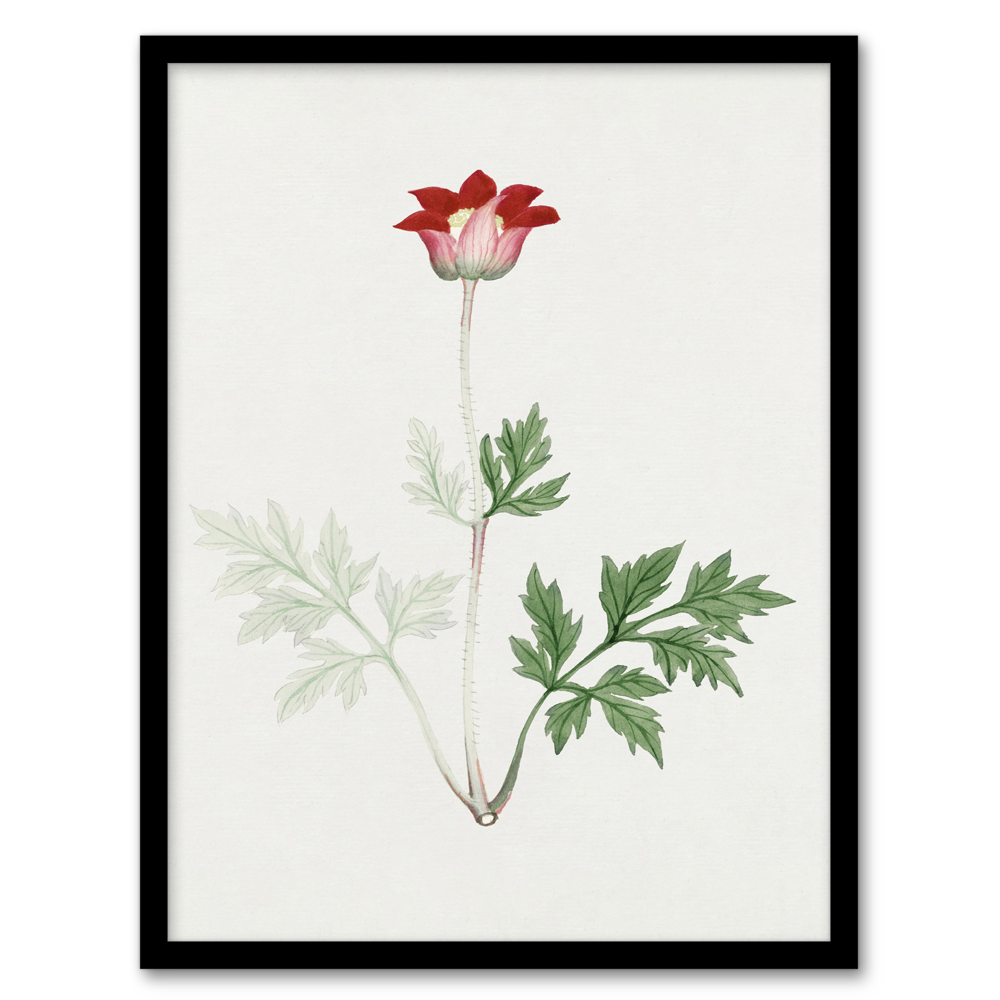 Vintage Japanese Botanical Framed Wall Art Print Red Bloom Flower Home Décor