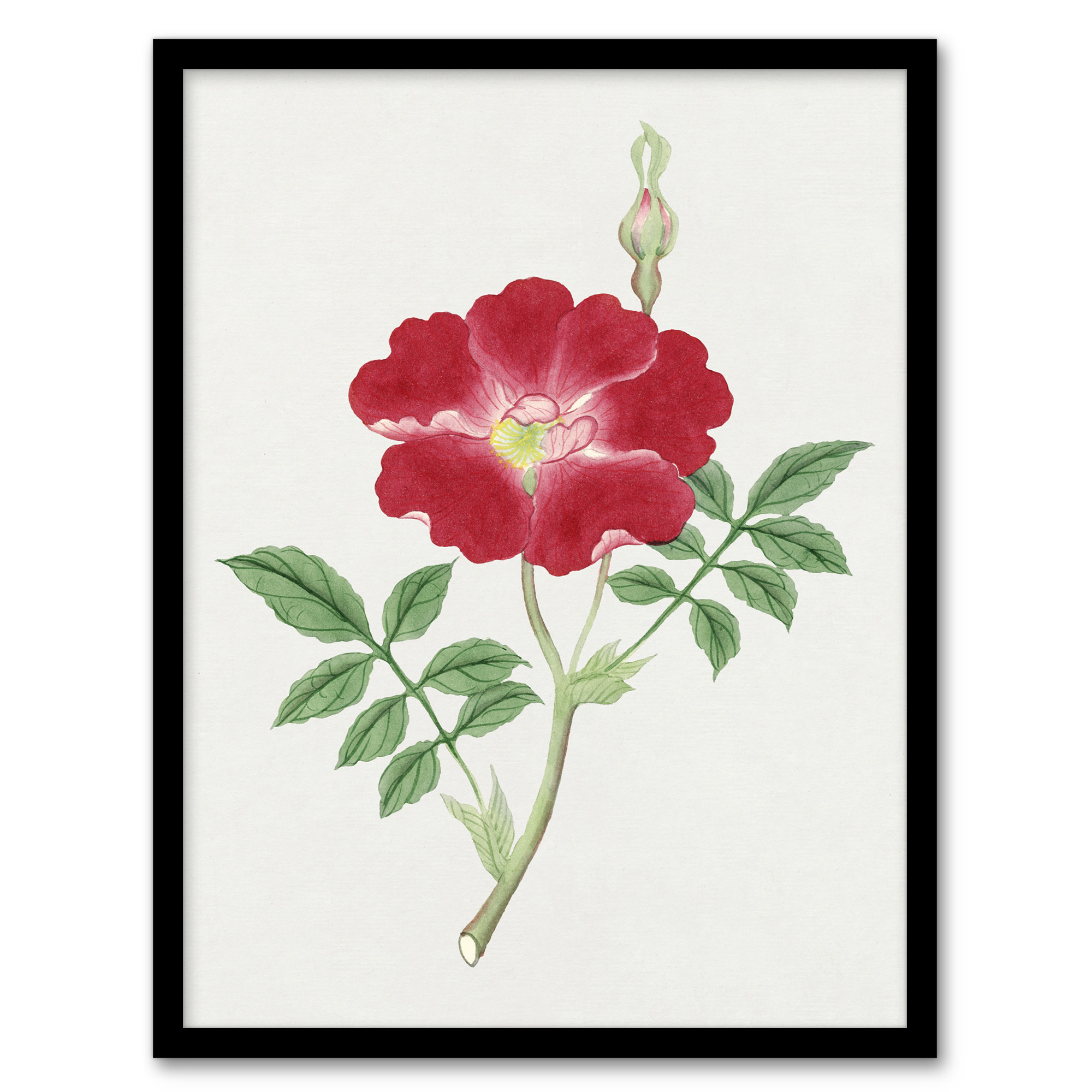 Vintage Japanese Botanical Framed Wall Art Print Red Flower Home Décor A3/A4