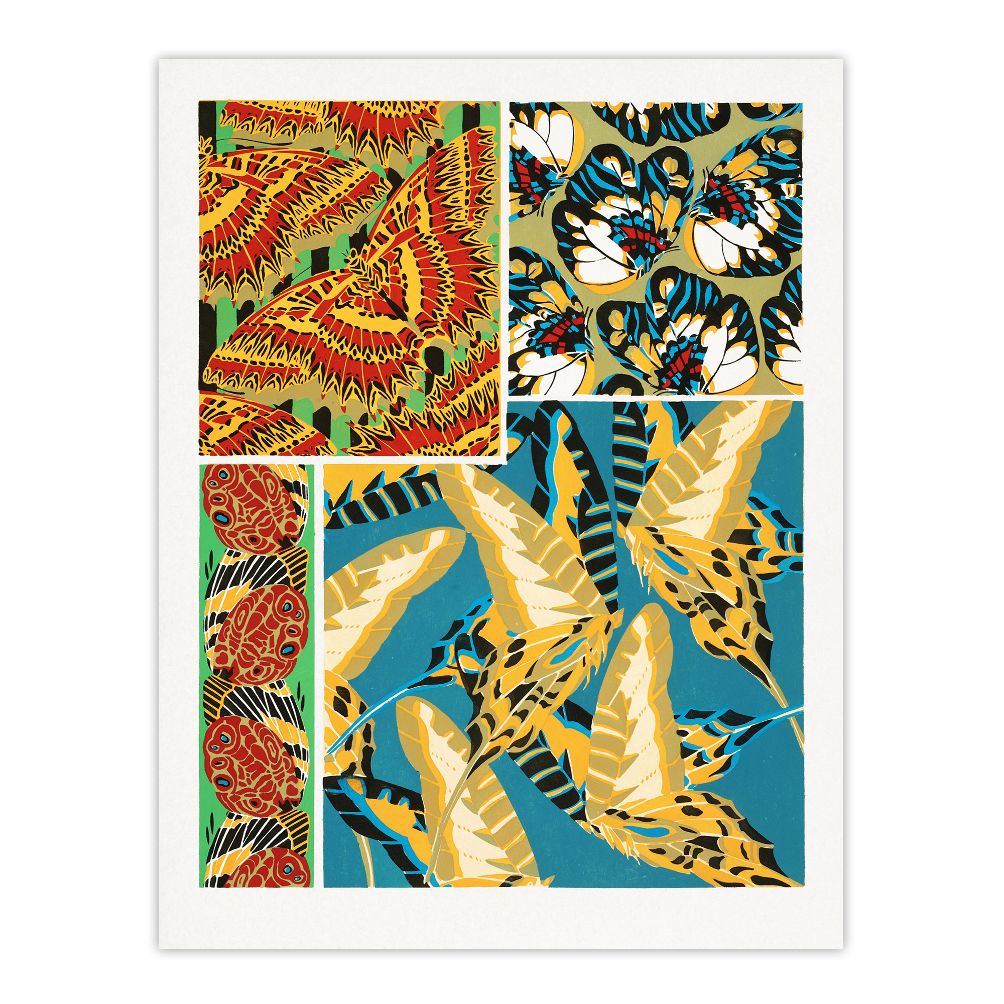 Vintage Butterflies Bright Pattern Vintage Framed Wall Art Print Seguy
