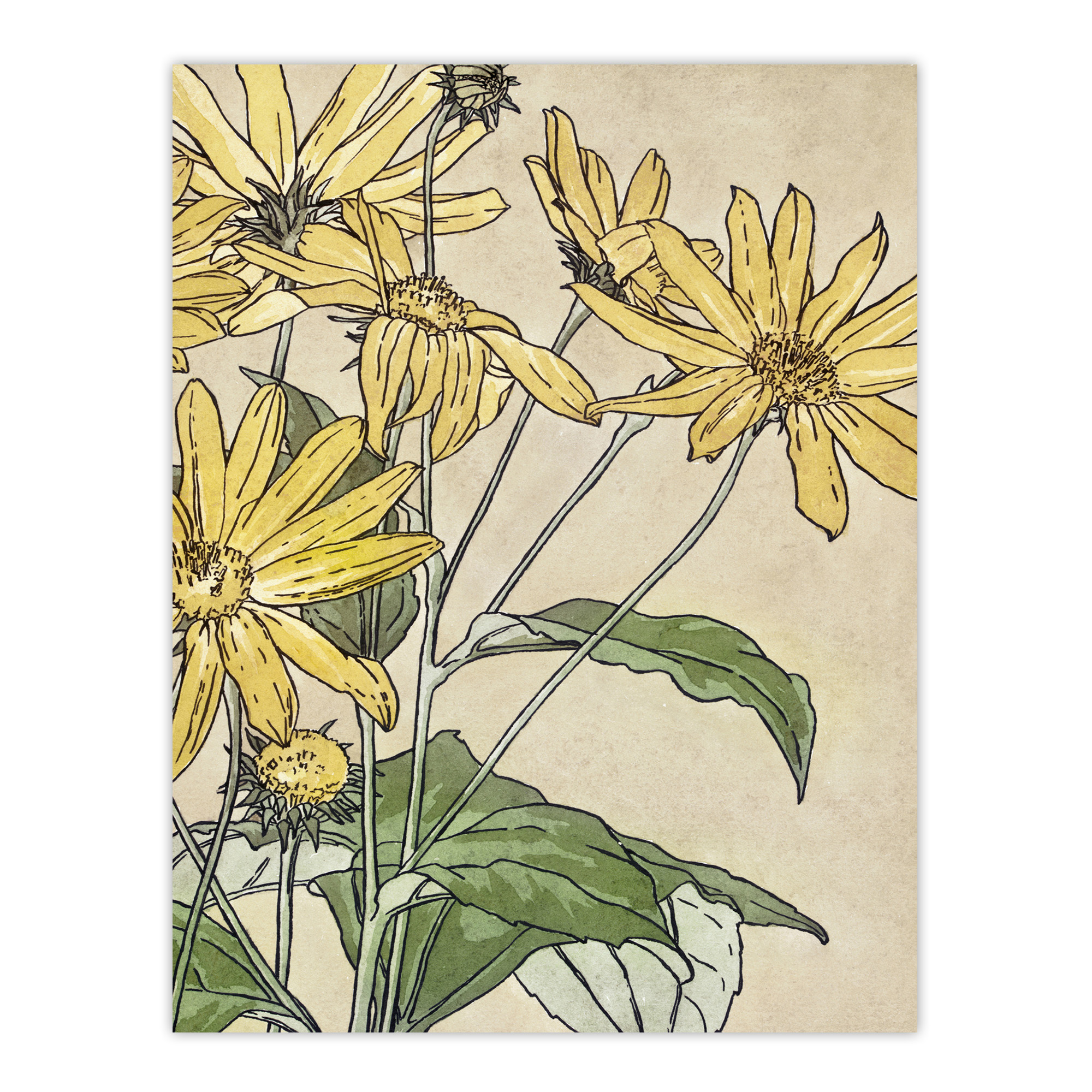 Sunflowers Watercolour Vintage Framed Wall Art Print Overbeck