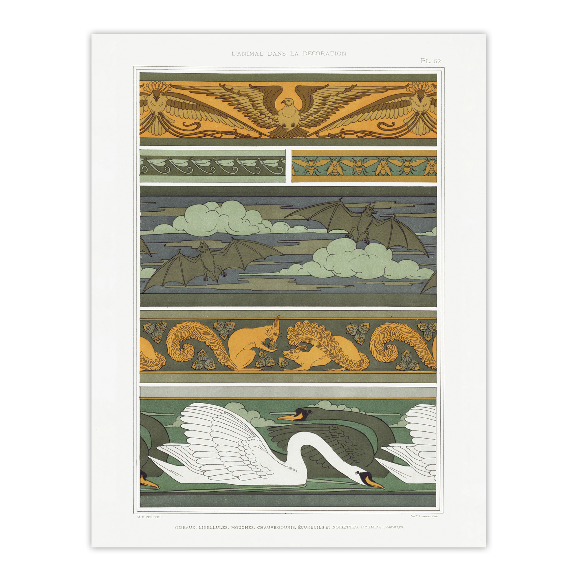 Birds Bats Squirrels Swans Vintage Framed Wall Art Print Verneuil
