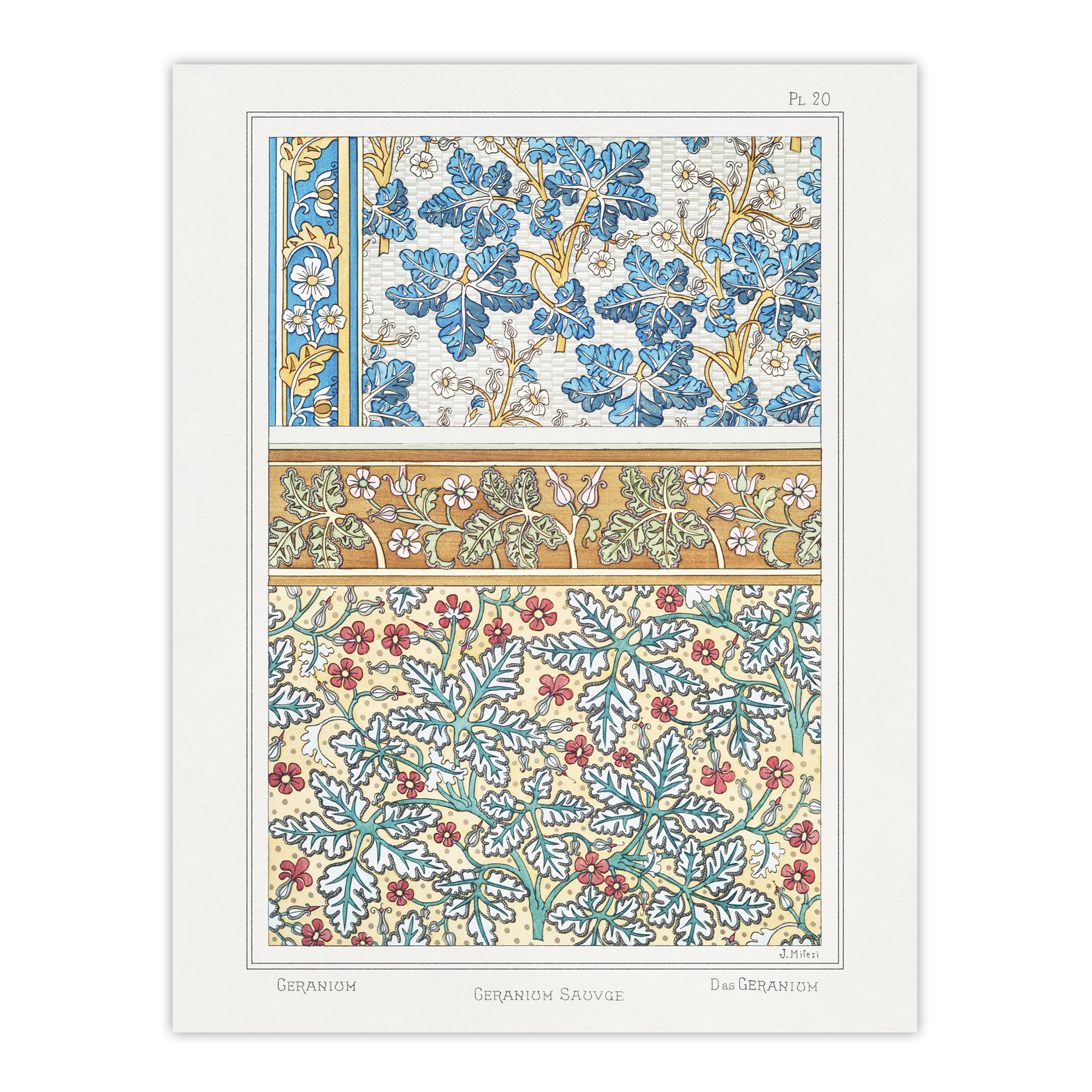 Geranium Flower Patterns Vintage Floral Framed Wall Art Print Verneuil