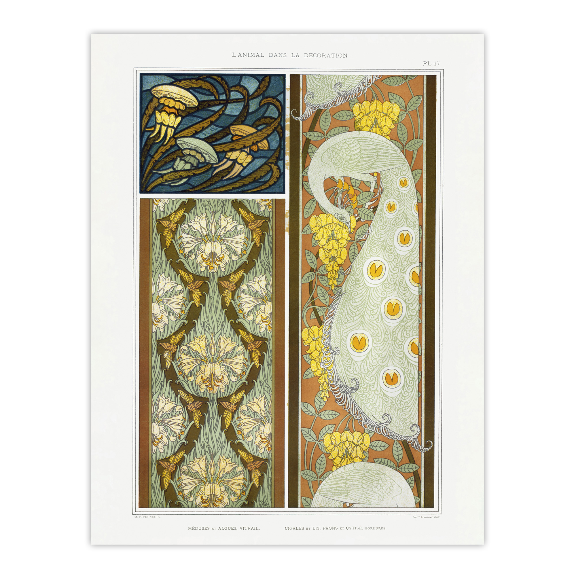 Peacock Jellyfish Lily Nouveau Vintage Framed Wall Art Print Verneuil
