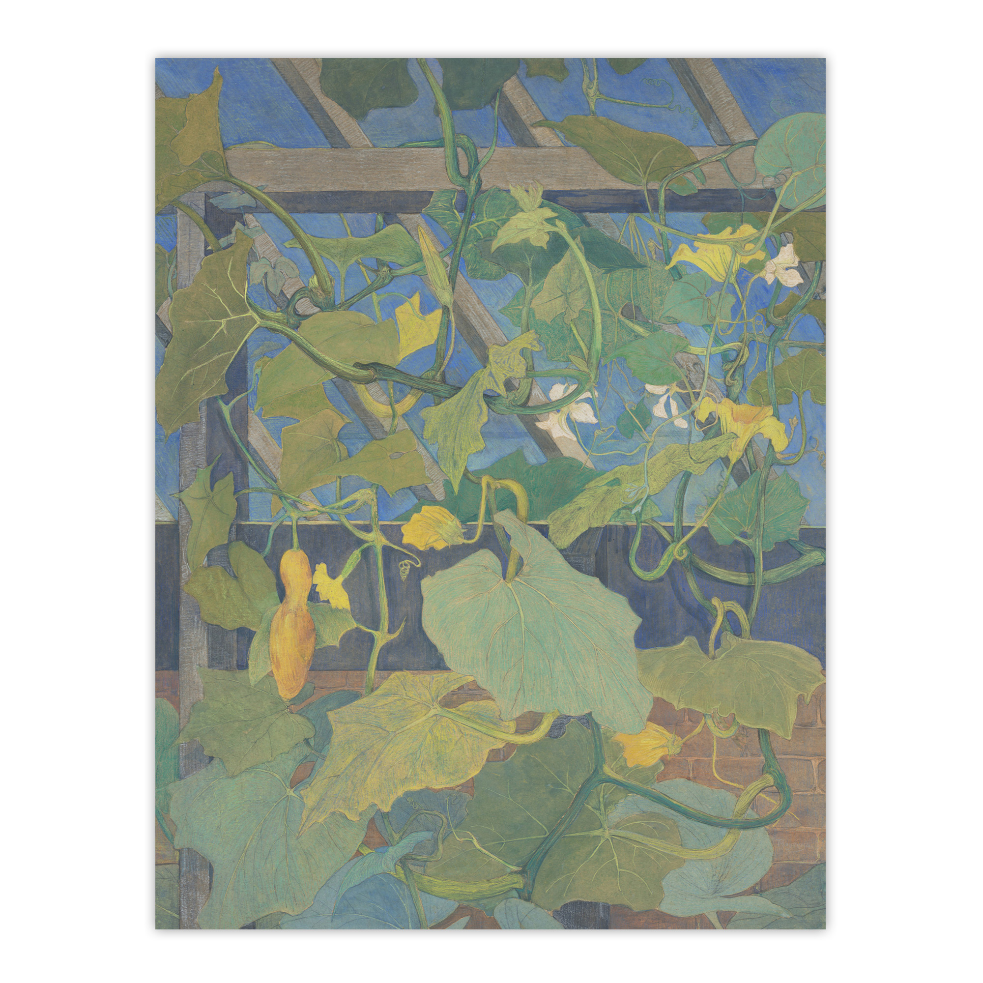 Greenhouse Ornamental Gourds Vintage Framed Wall Art Print van Hoytema