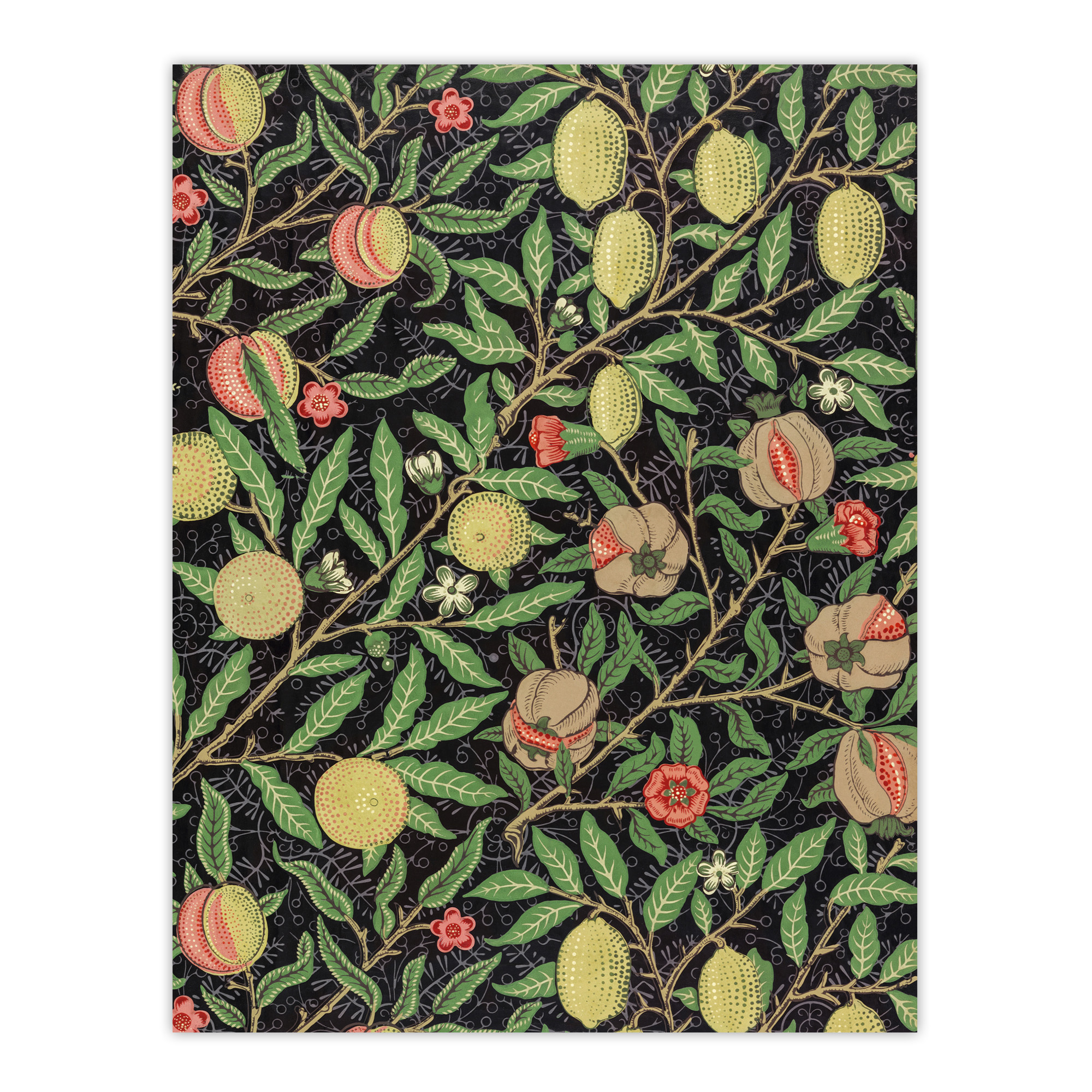Pomegranate and Citrus Pattern Vintage Framed Wall Art Print W. Morris