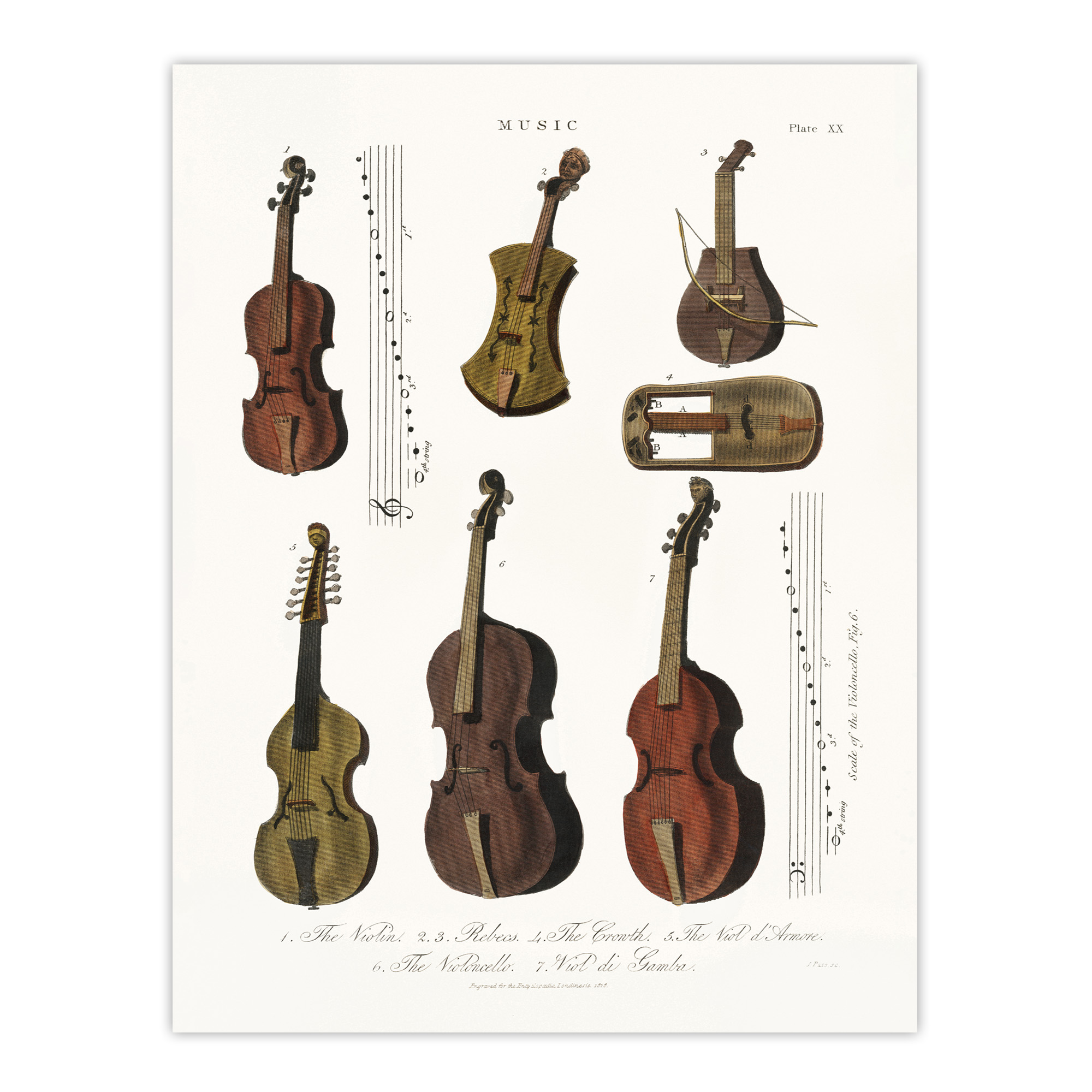 Violin Viola Cello Encyclopedia Londinensis Wall Art Print Poster