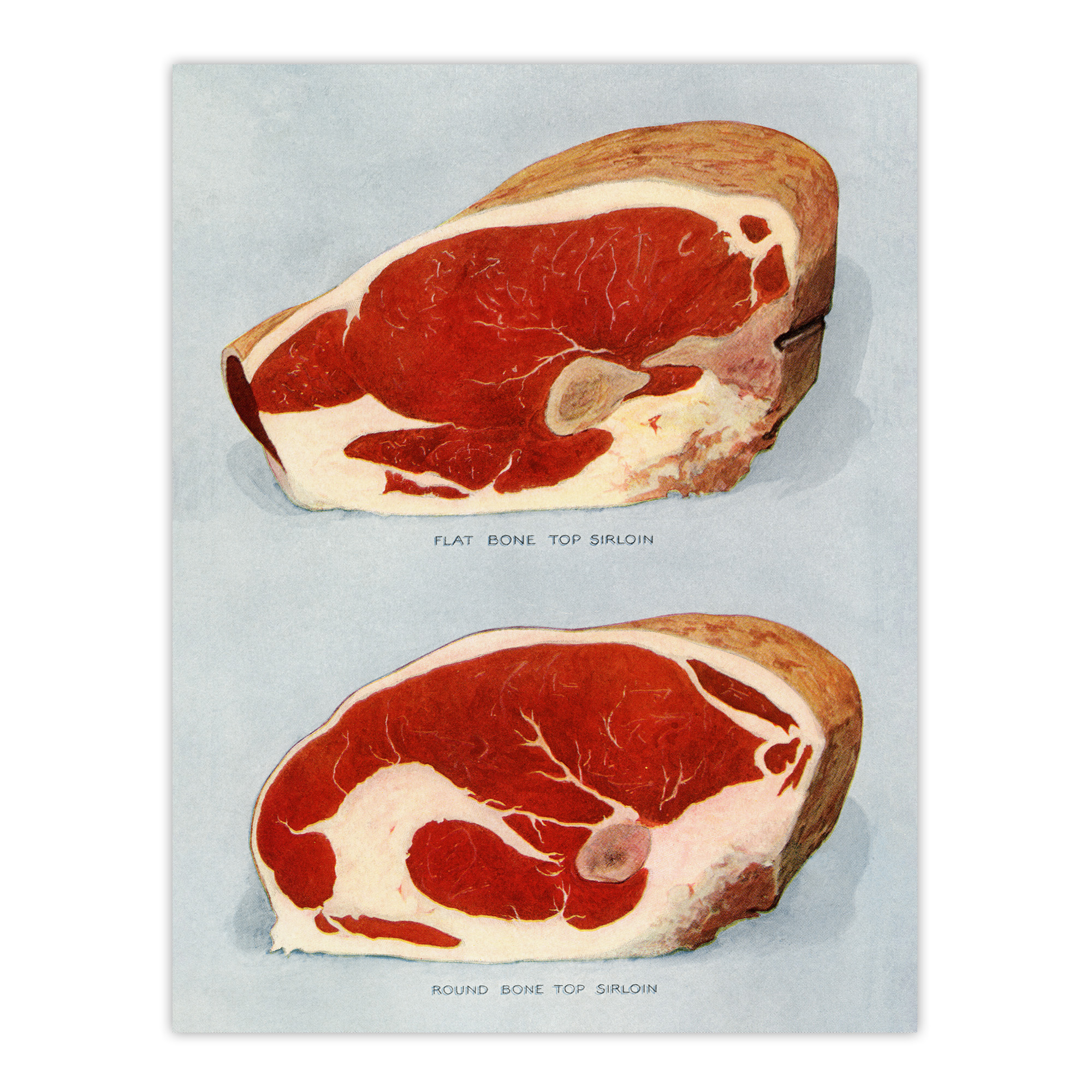 Beef Sirloins Illustration Vintage Wall Art Print Poster