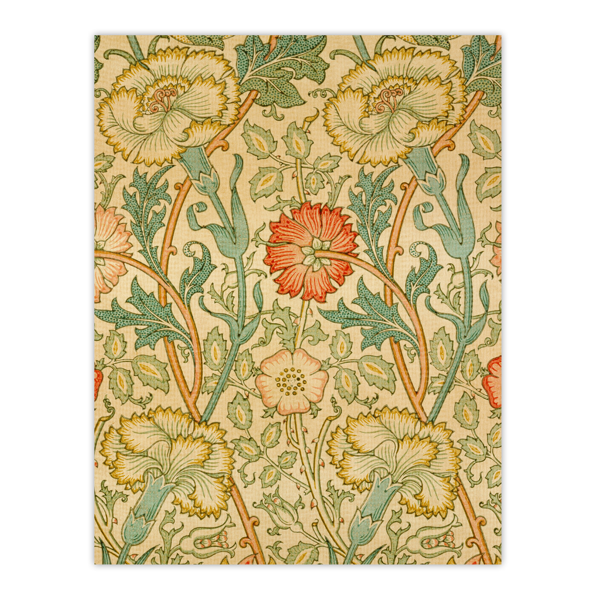 Pink Carnations and Roses W. Morris Vintage Wall Art Print Poster