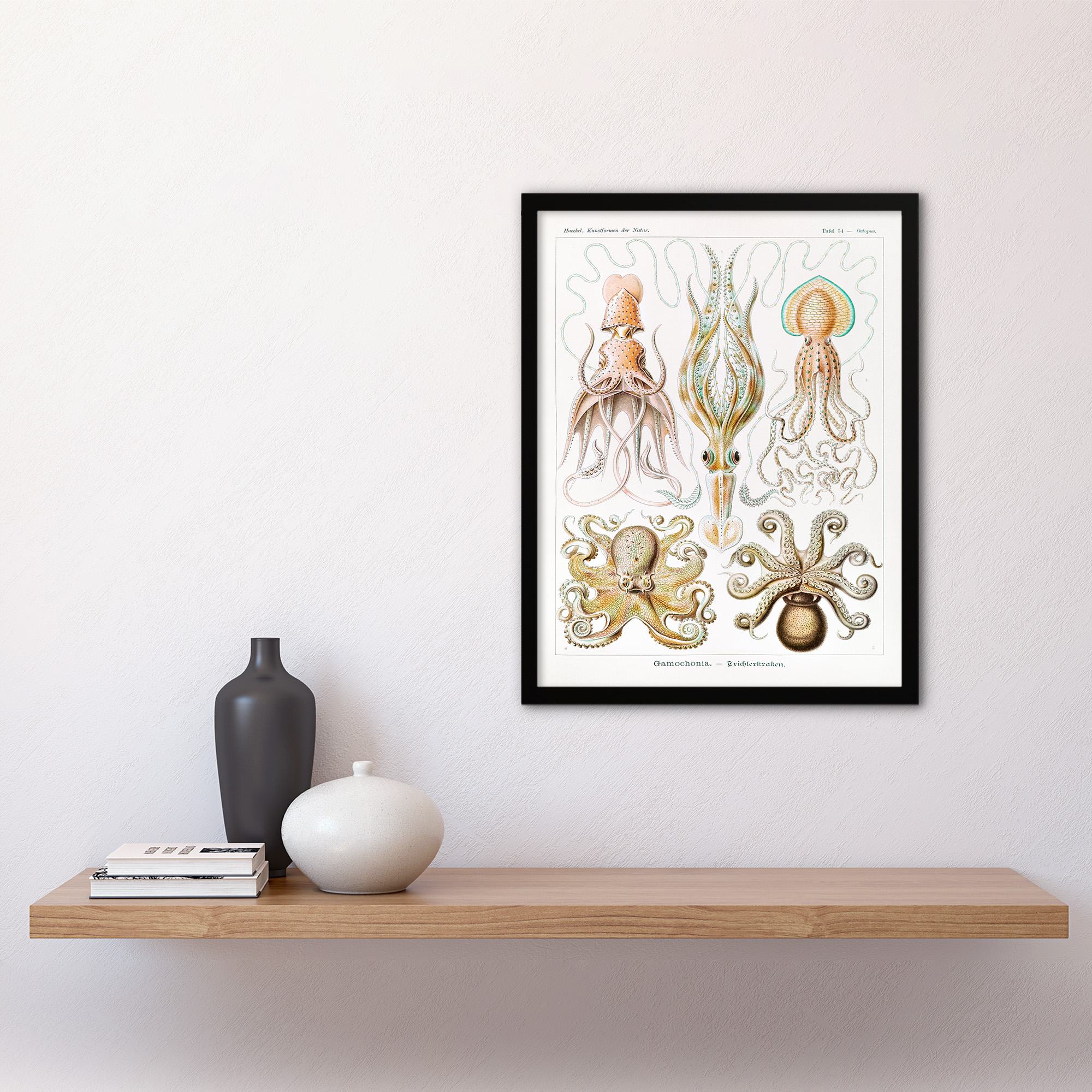Ernst Haeckel Framed Wall Art Squid and Octopus Vintage Illustrations Home Décor - Bild 3 von 9
