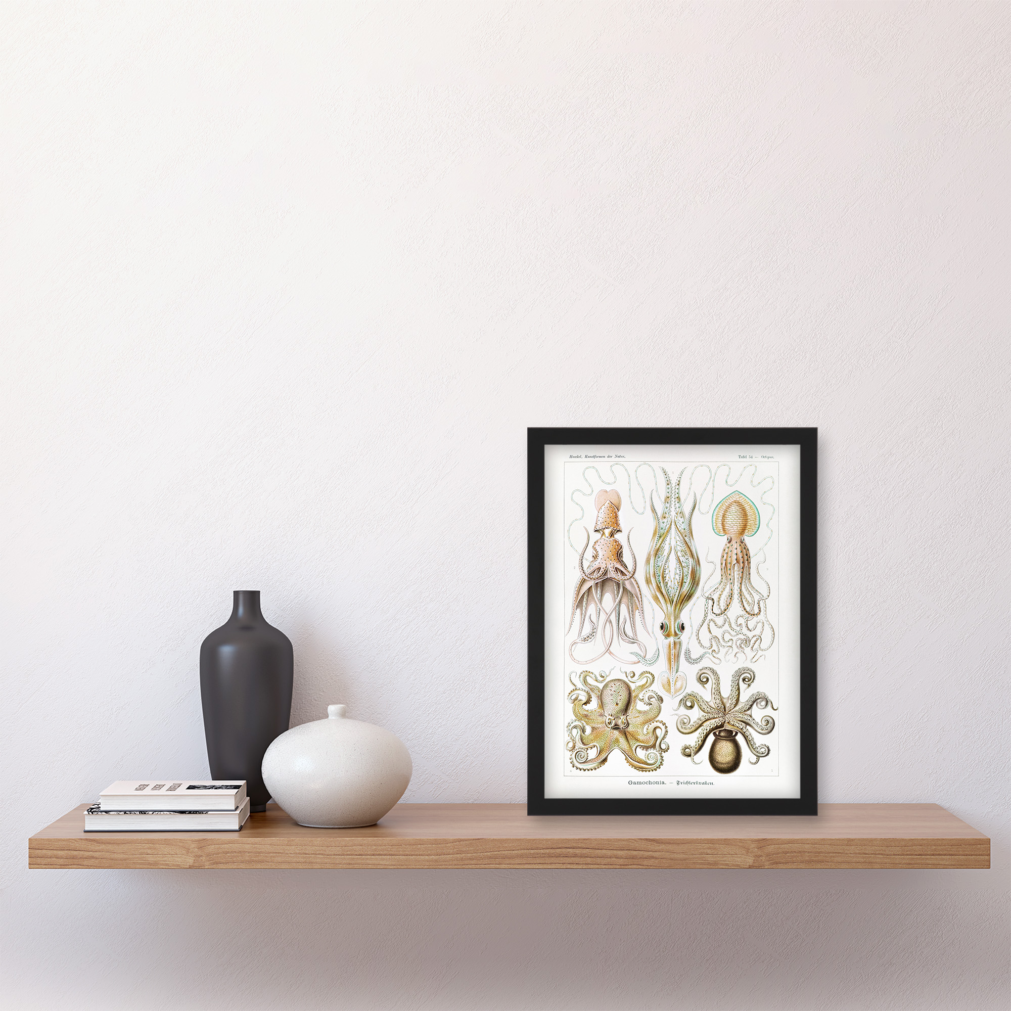 Ernst Haeckel Framed Wall Art Squid and Octopus Vintage Illustrations Home Décor - Bild 7 von 9