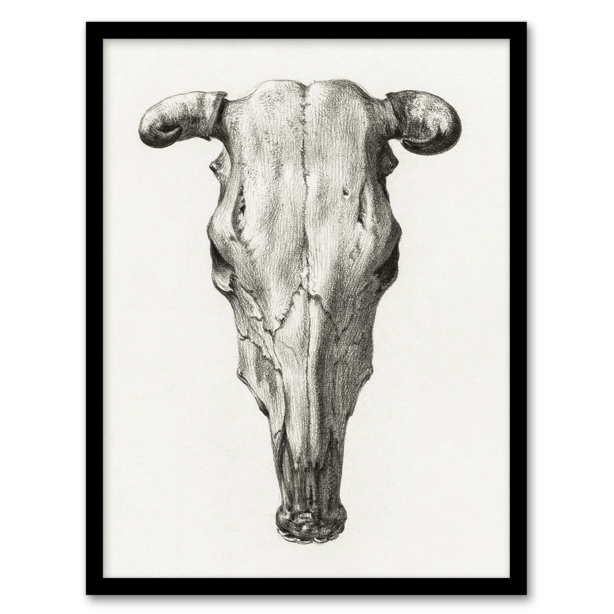 Jean Bernard Framed Wall Art Print Skull of a Cow Pencil Drawing Home Décor