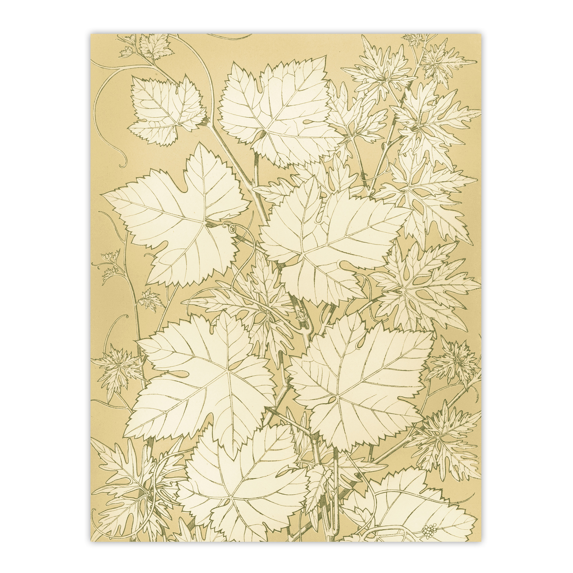 Leaves From Nature No 2 Botanical Jones Vintage Wall Art Print Poster