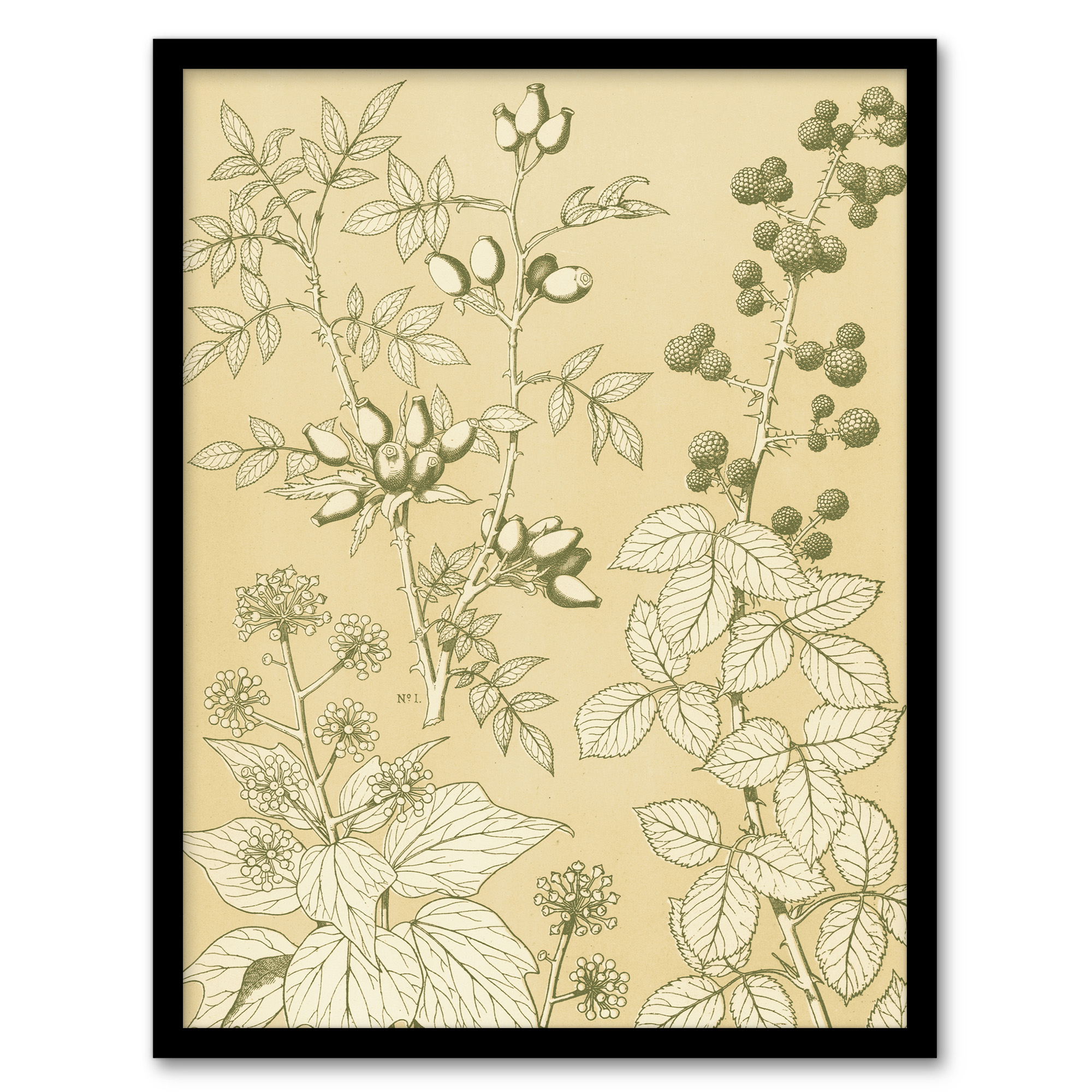 Owen Jones Framed Wall Art Wild Rose Ivy Blackberry Vintage Botanical Home Décor