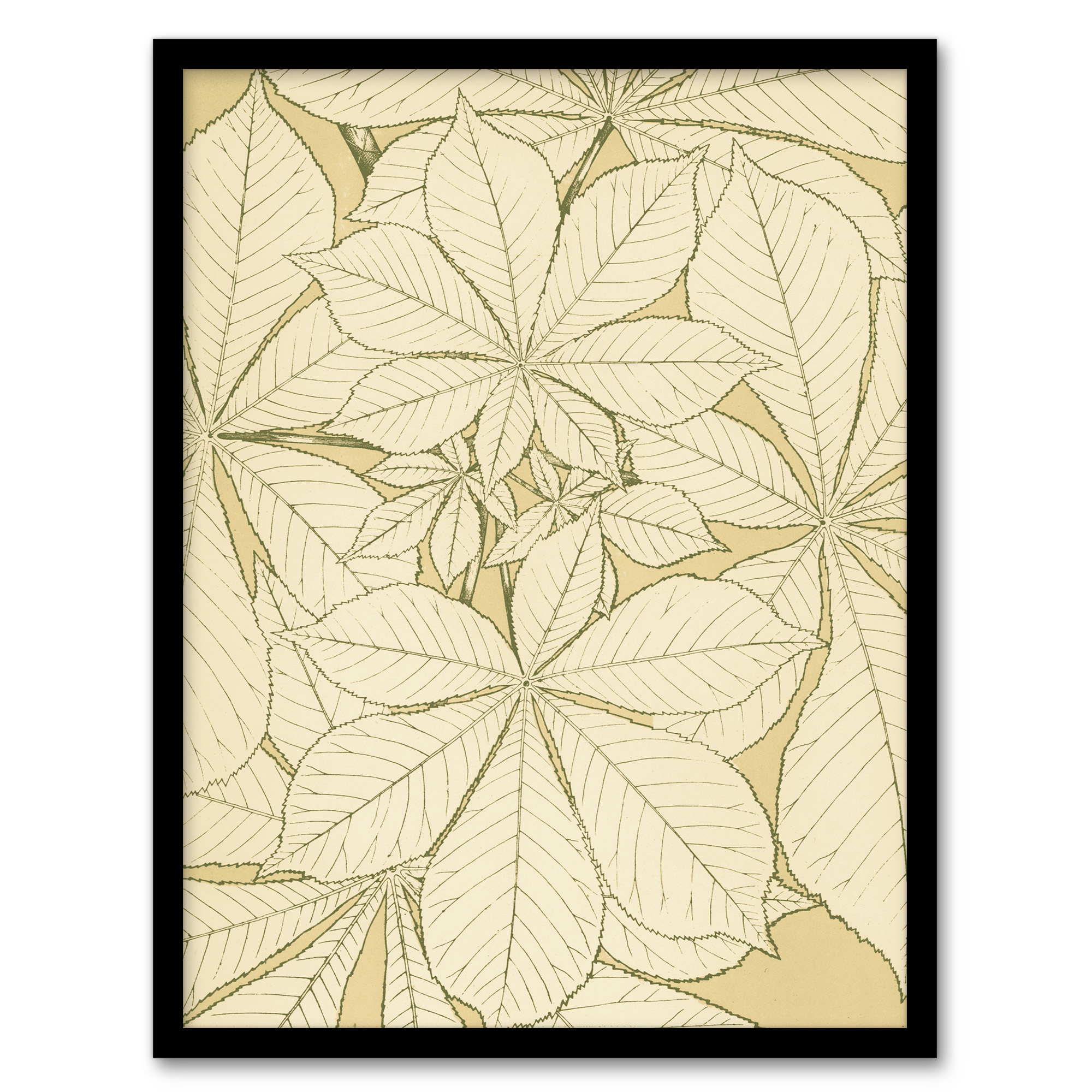 Owen Jones Framed Wall Art Leaves From Nature No 1 Vintage Botanical Home Décor