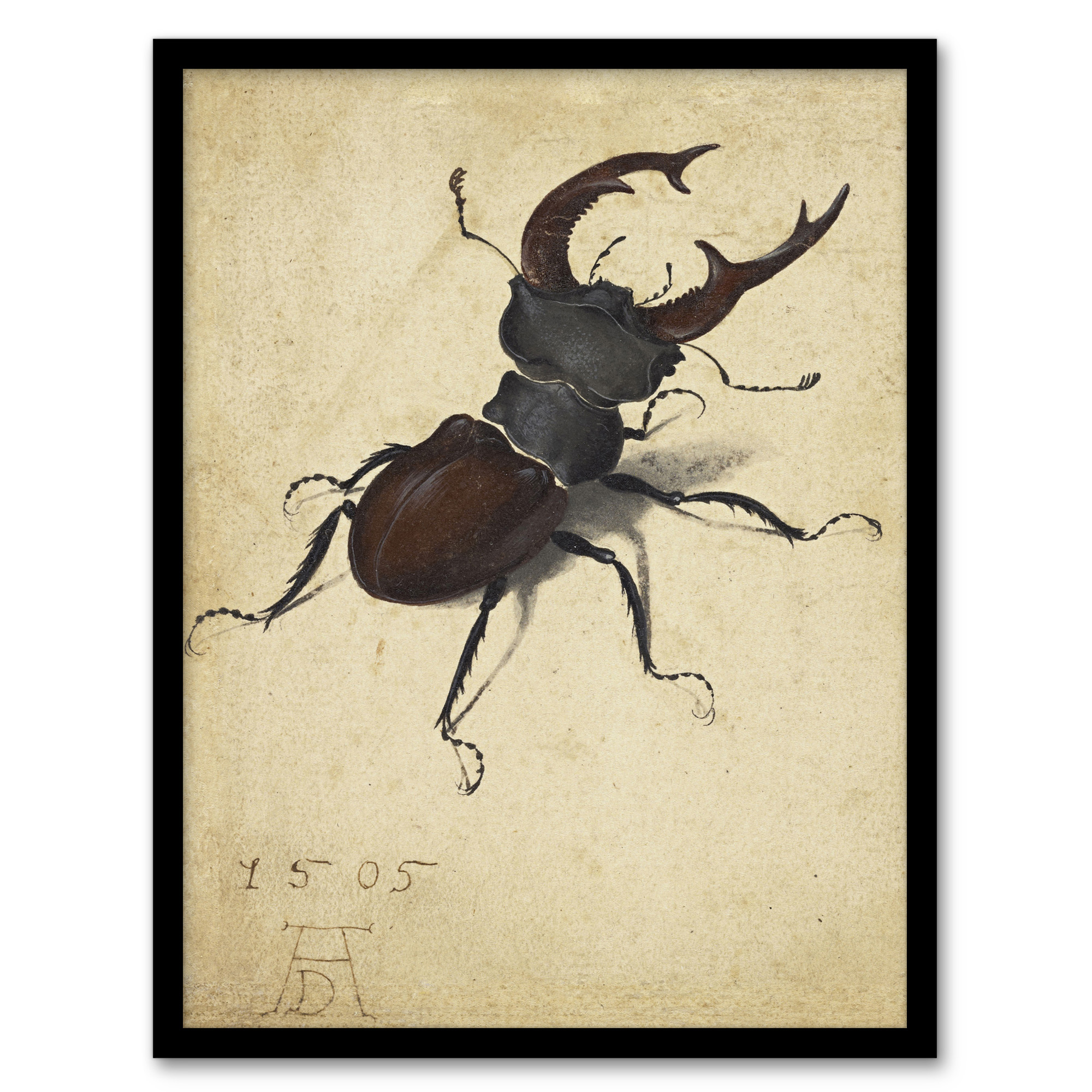 Albrecht Durer Stag Beetle Nature Study Painting Framed Wall Art Print A3/A4