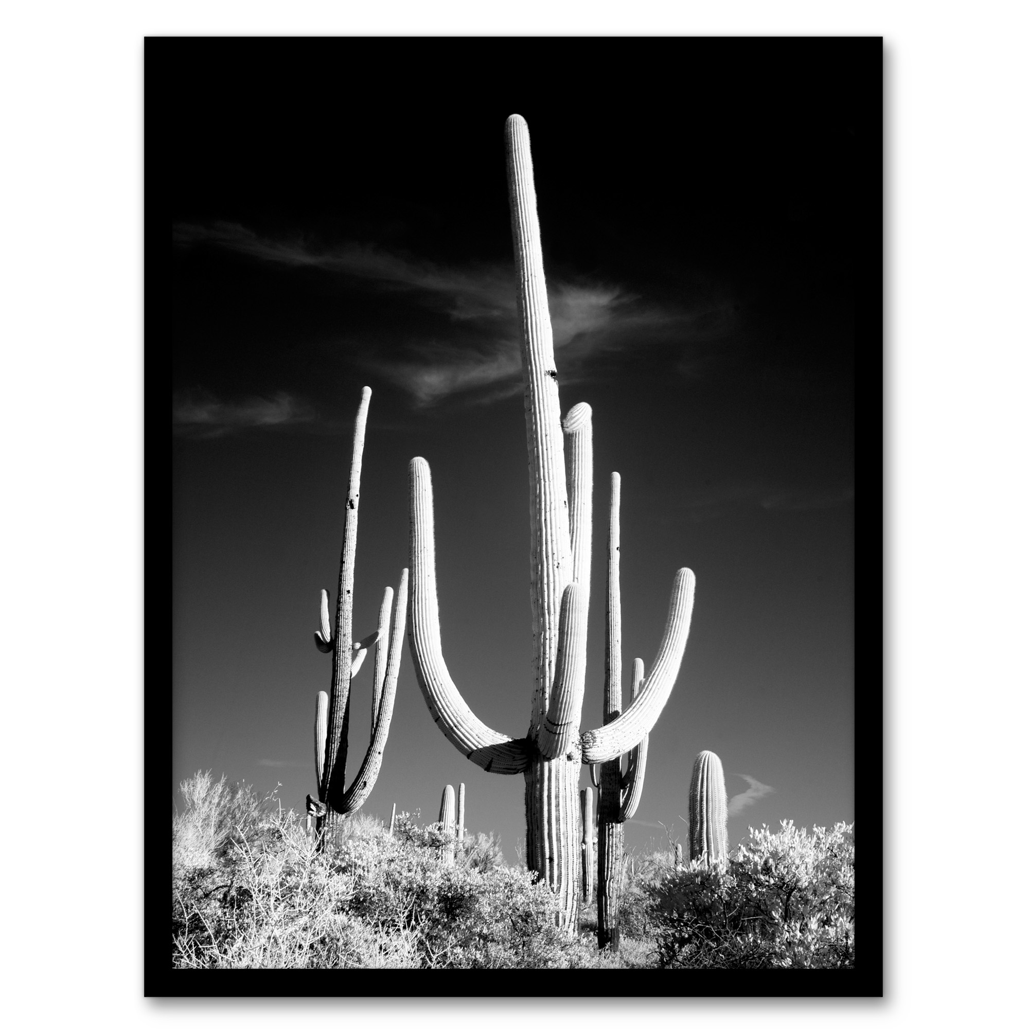 Saguaro Cactus Arizona Carol M Highsmith Wall Art Poster Print