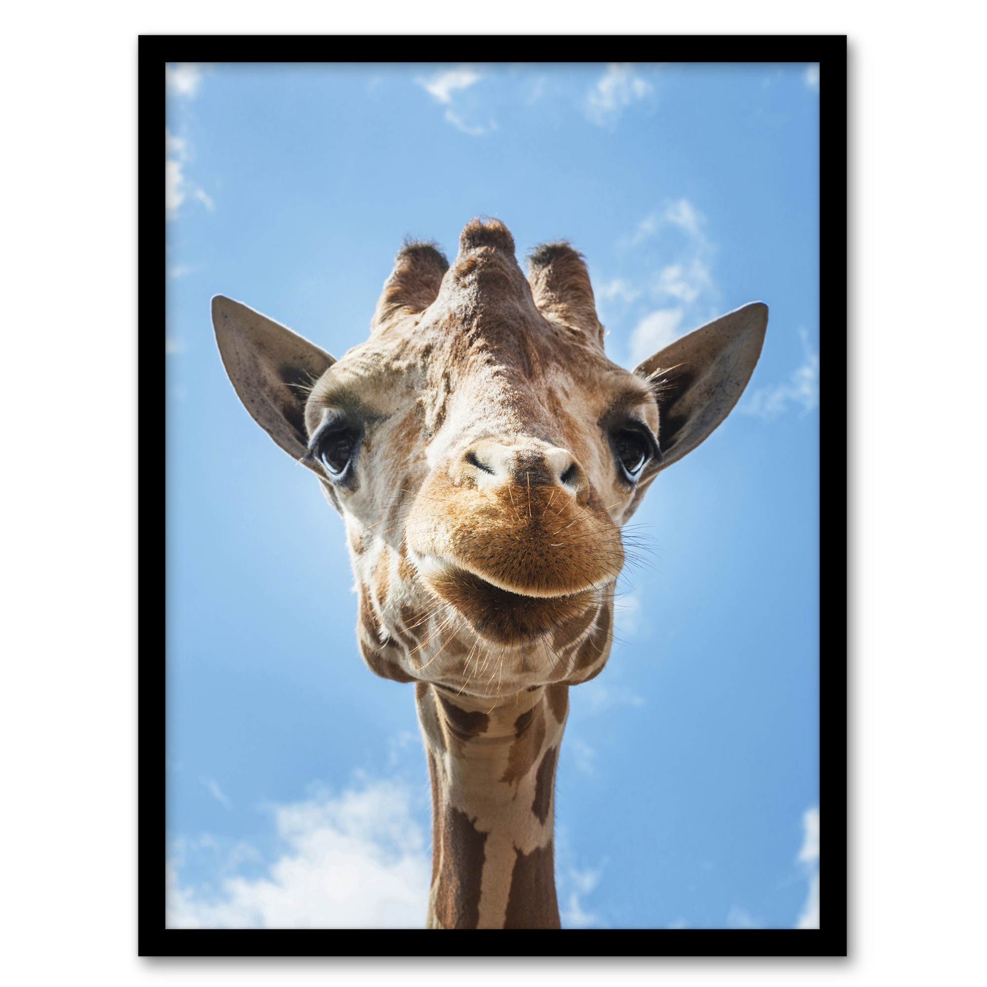 Carol M Highsmith Giraffe Head Up Close Look Framed Wall Art Picture Print A3/A4