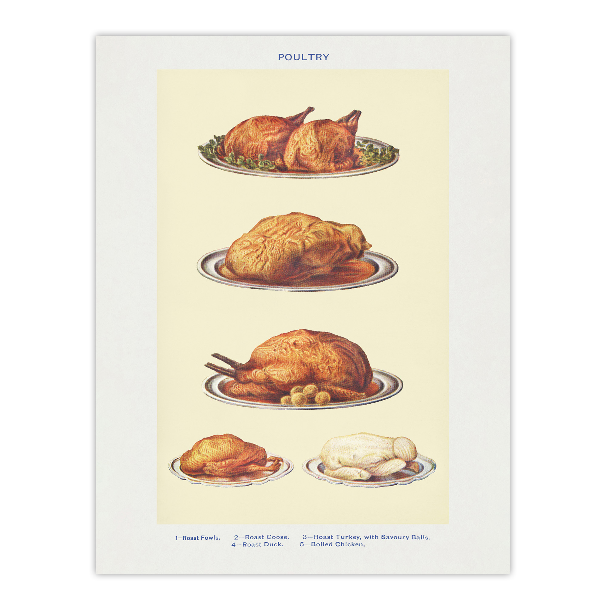 Poultry Dishes Vintage Kitchen Mrs Beeton Wall Art Poster Print
