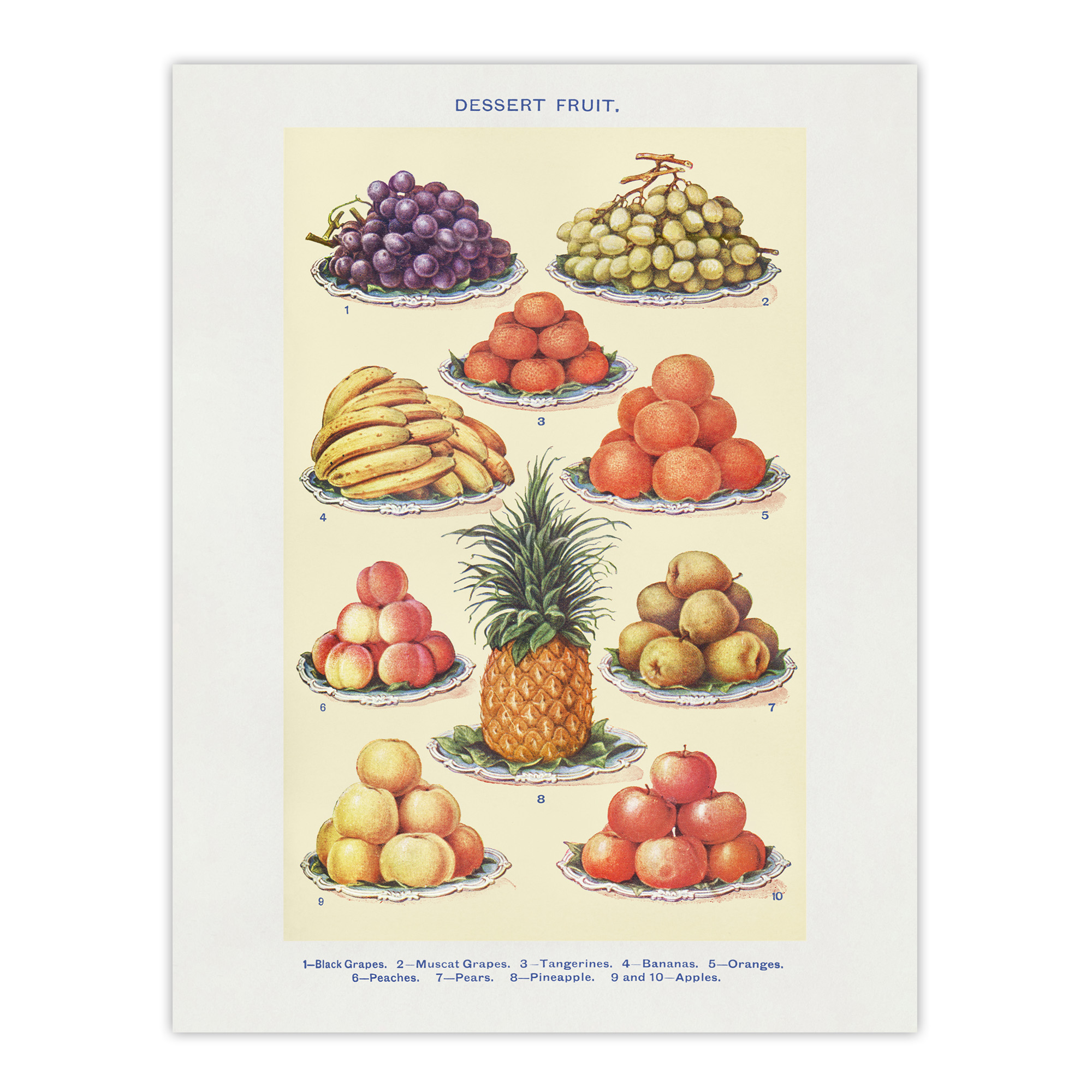 Summer Dessert Fruit Kitchen Mrs Beeton Wall Art Poster Print