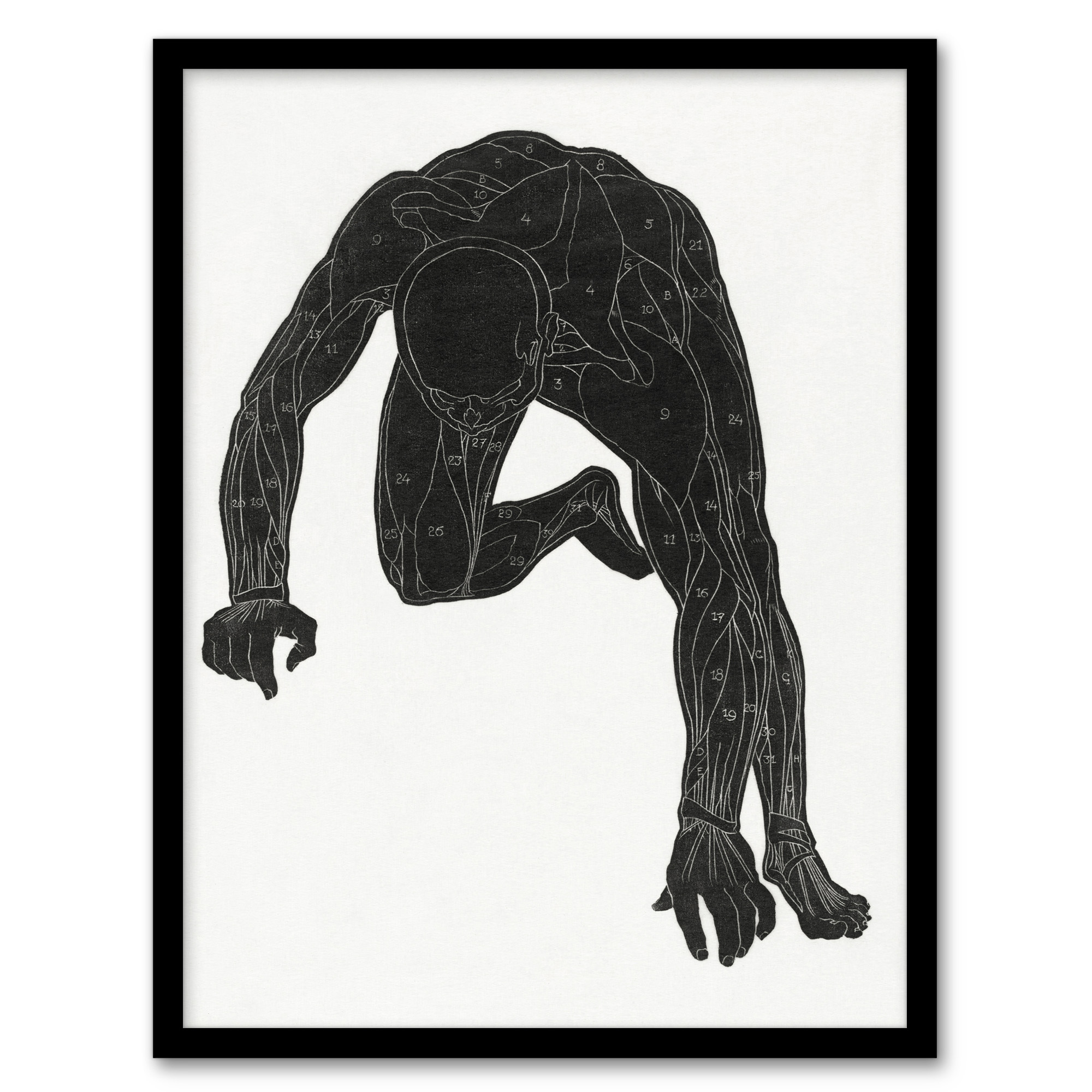 Reijer Stolk Man Silhouette Anatomical Study of Muscles Framed Art Print A3/A4