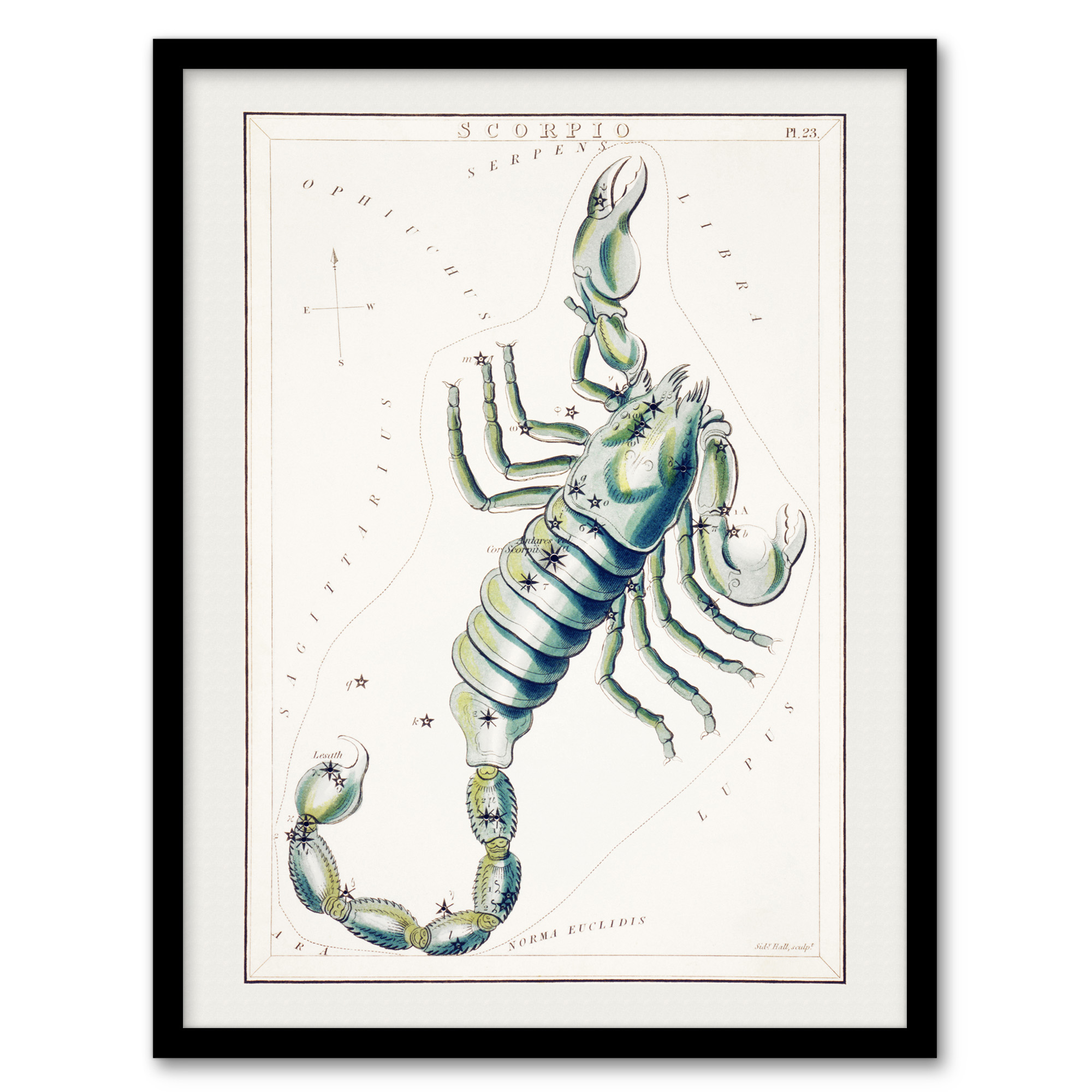 Sidney Hall Astronomical Chart Illustration of Scorpio Framed Art Print A3/A4