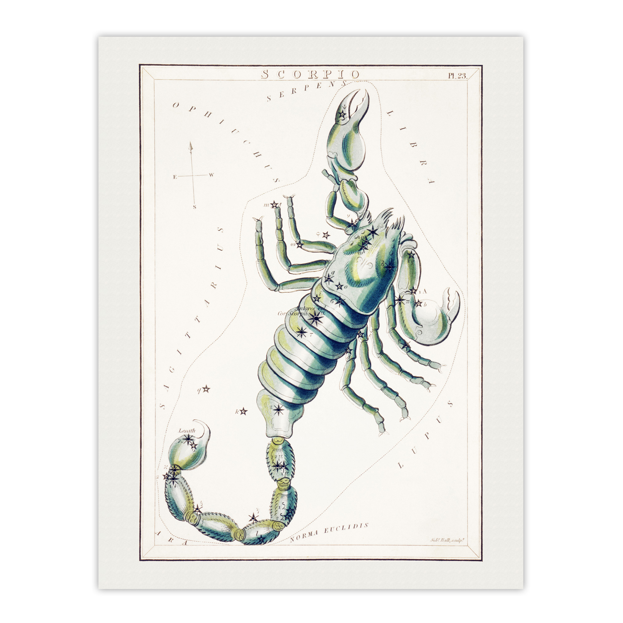 Astronomical Chart illustration of Scorpio Hall Wall Art Poster Print
