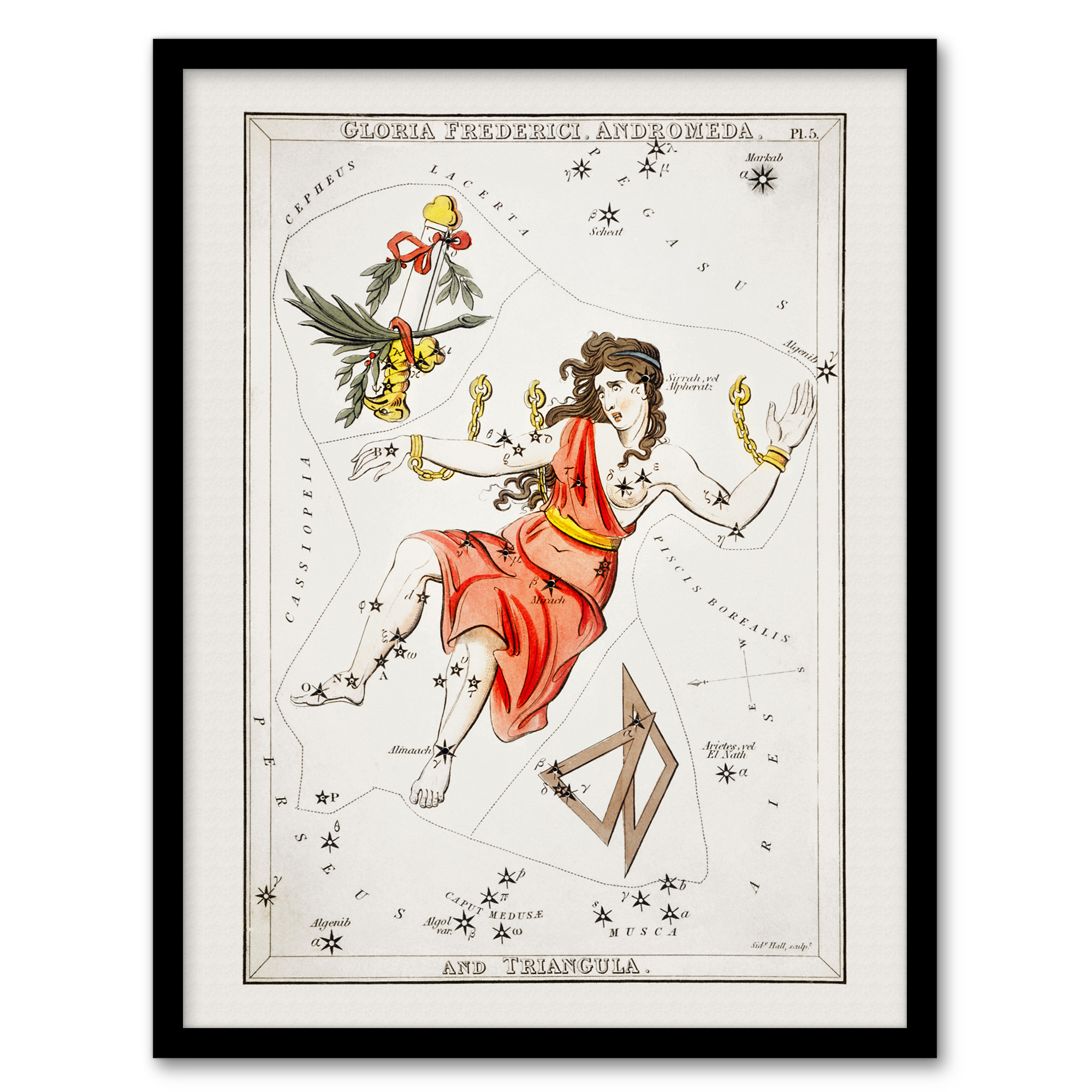 Vintage Andromeda Constellation Illustration Hall Wall Art Poster Print