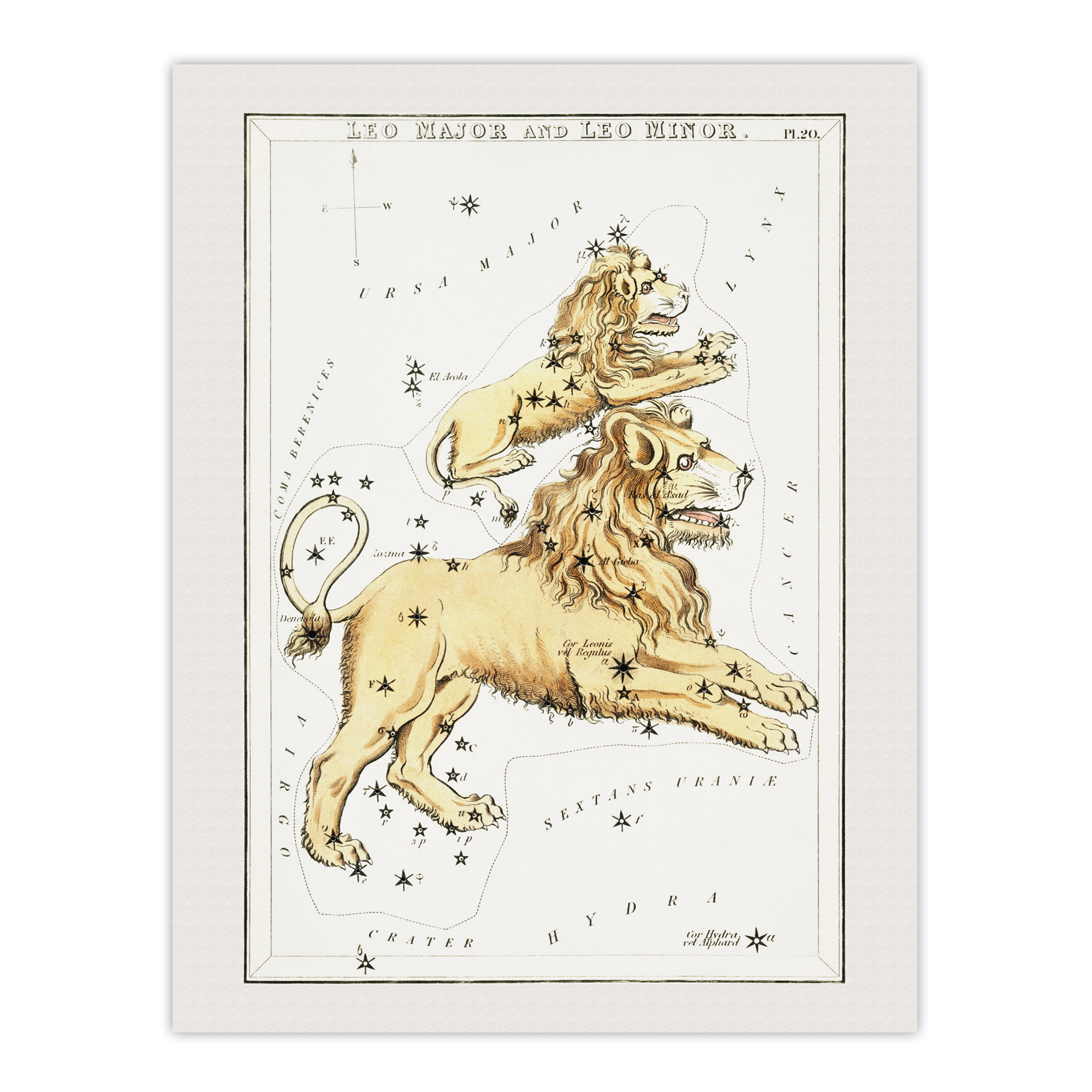 Vintage Leo Constellation Illustration Hall Wall Art Poster Print