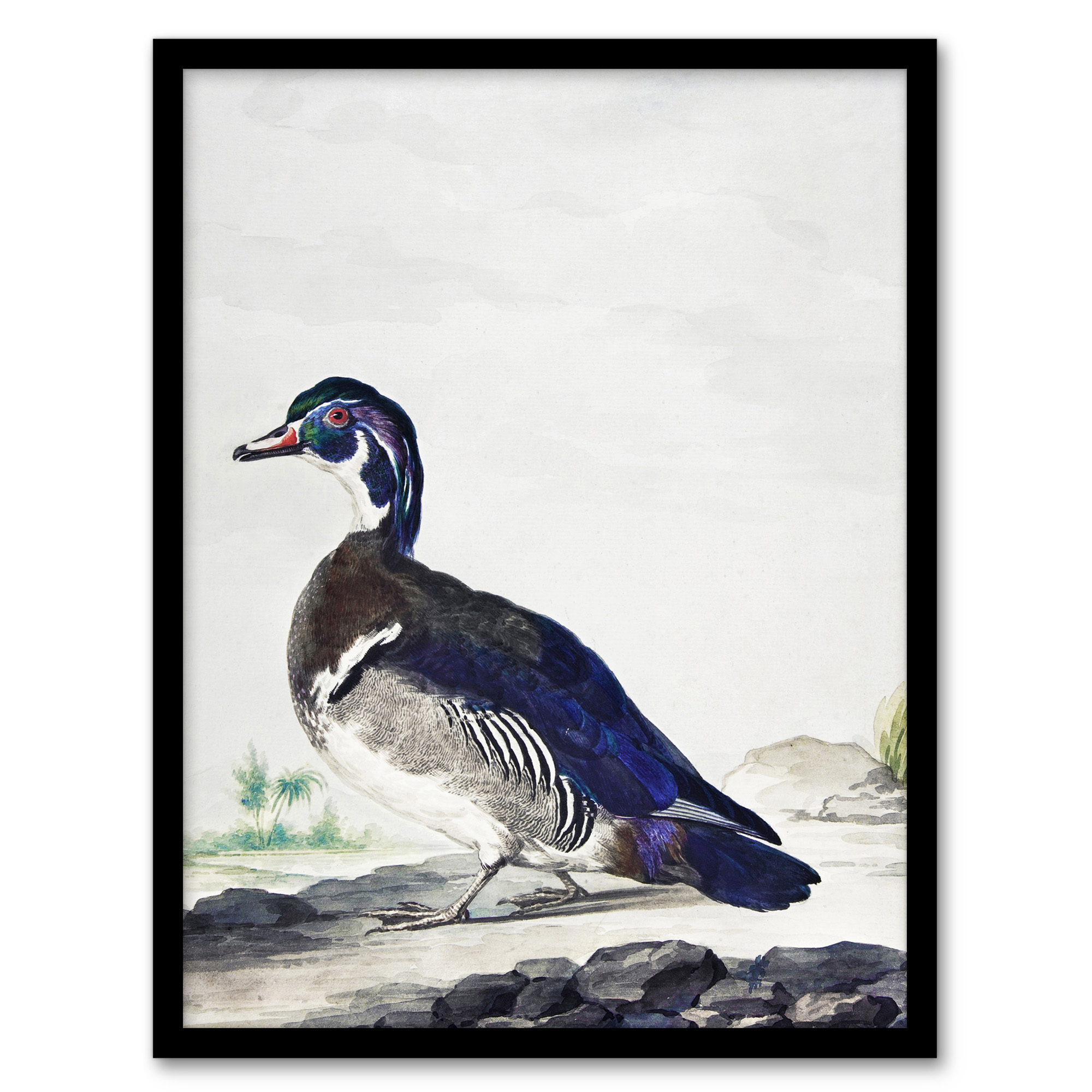 Aert Schouman Framed Wall Art Wood Duck Vintage Bird Oil Painting Home Décor