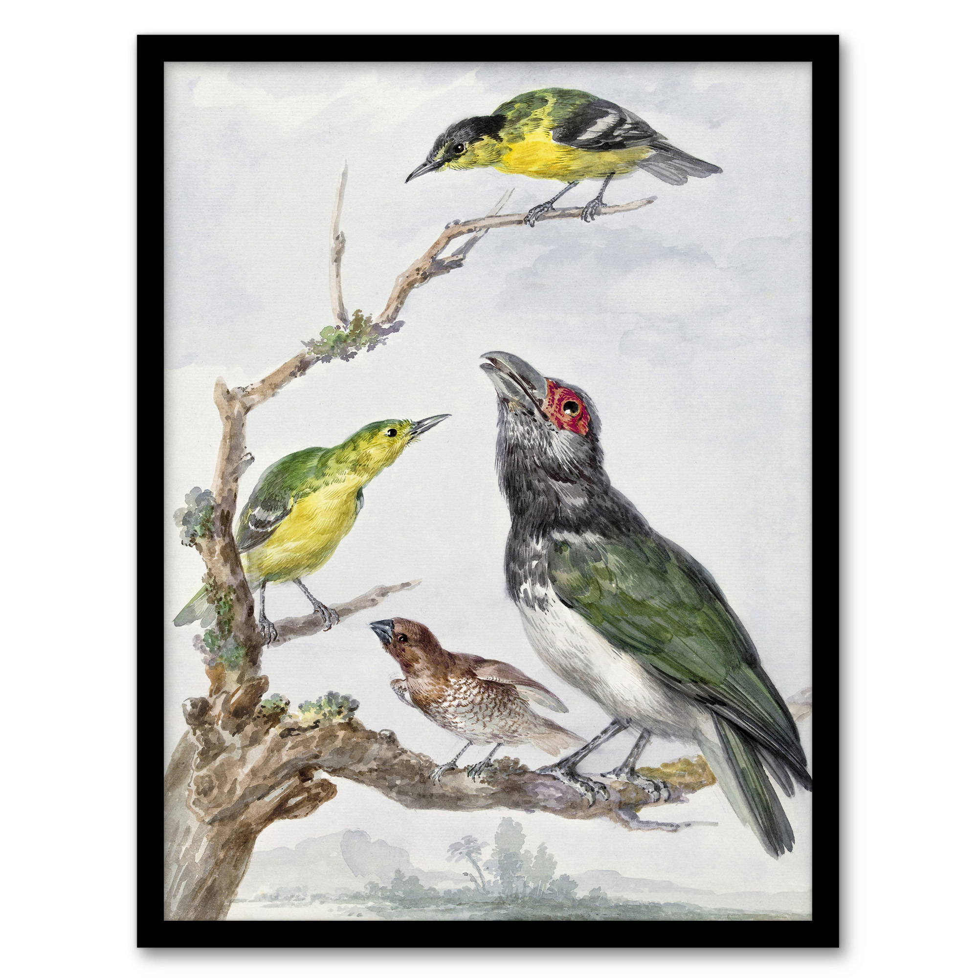 Aert Schouman Framed Wall Art Print Four Different Birds on a Branch Home Décor