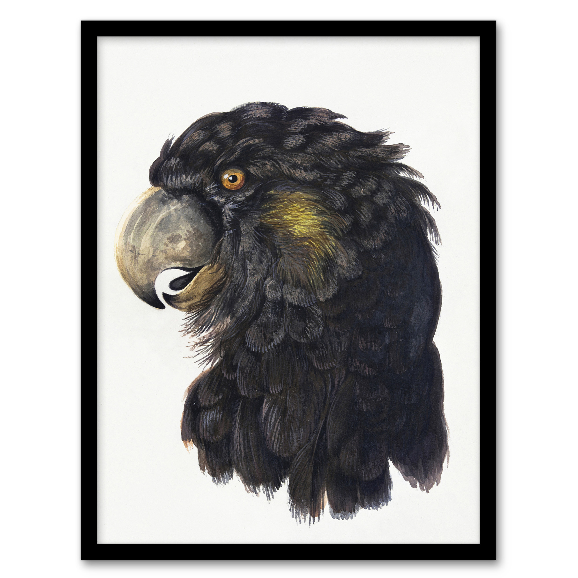 Cockatoo Parrot Head Watercolour Schouman Wall Art Poster Print