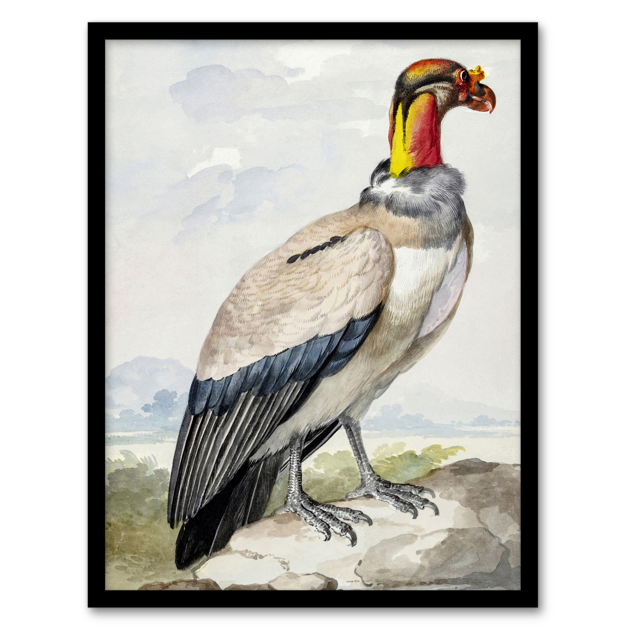 Aert Schouman Framed Wall Art King Vulture Bird Vintage Watercolour Home Décor