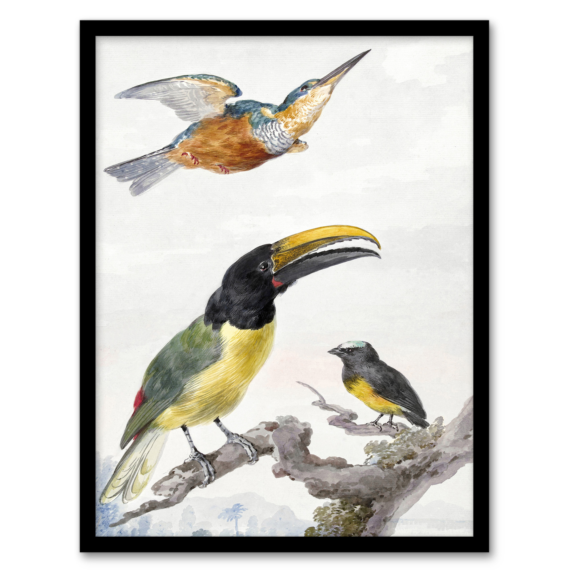 Aert Schouman Framed Wall Art Kingfisher Toucan Bird and a Sparrow Home Décor