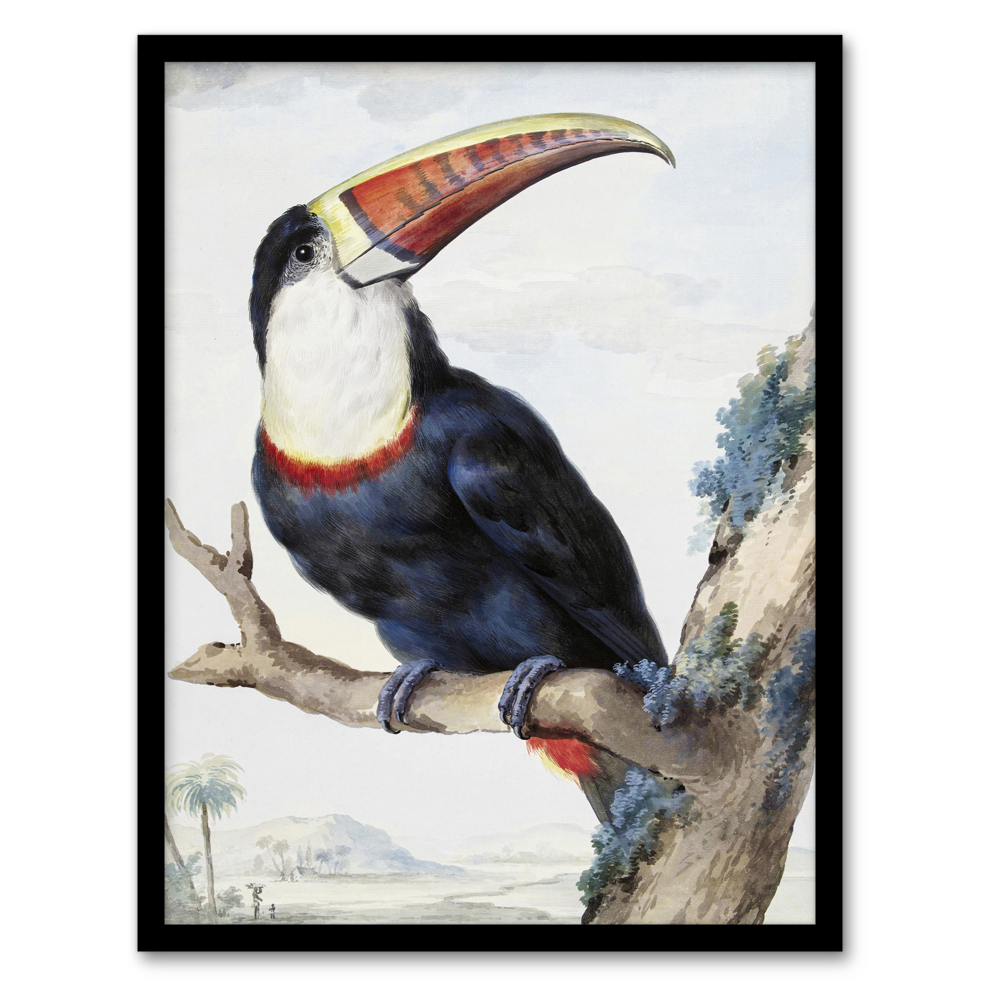 Aert Schouman Framed Wall Art Print Red Billed Toucan Bird Painting Home Décor
