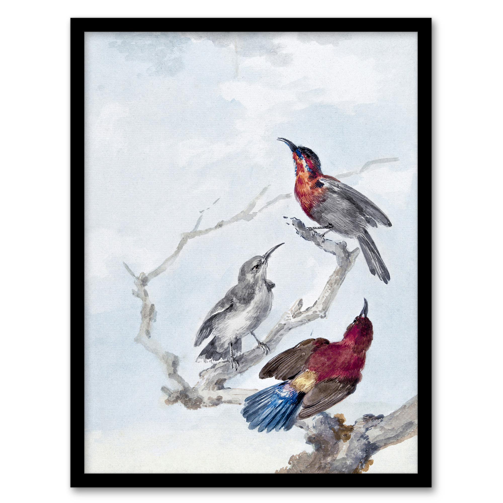 Three Crimson Sunbirds Watercolour Schouman Wall Art Poster Print
