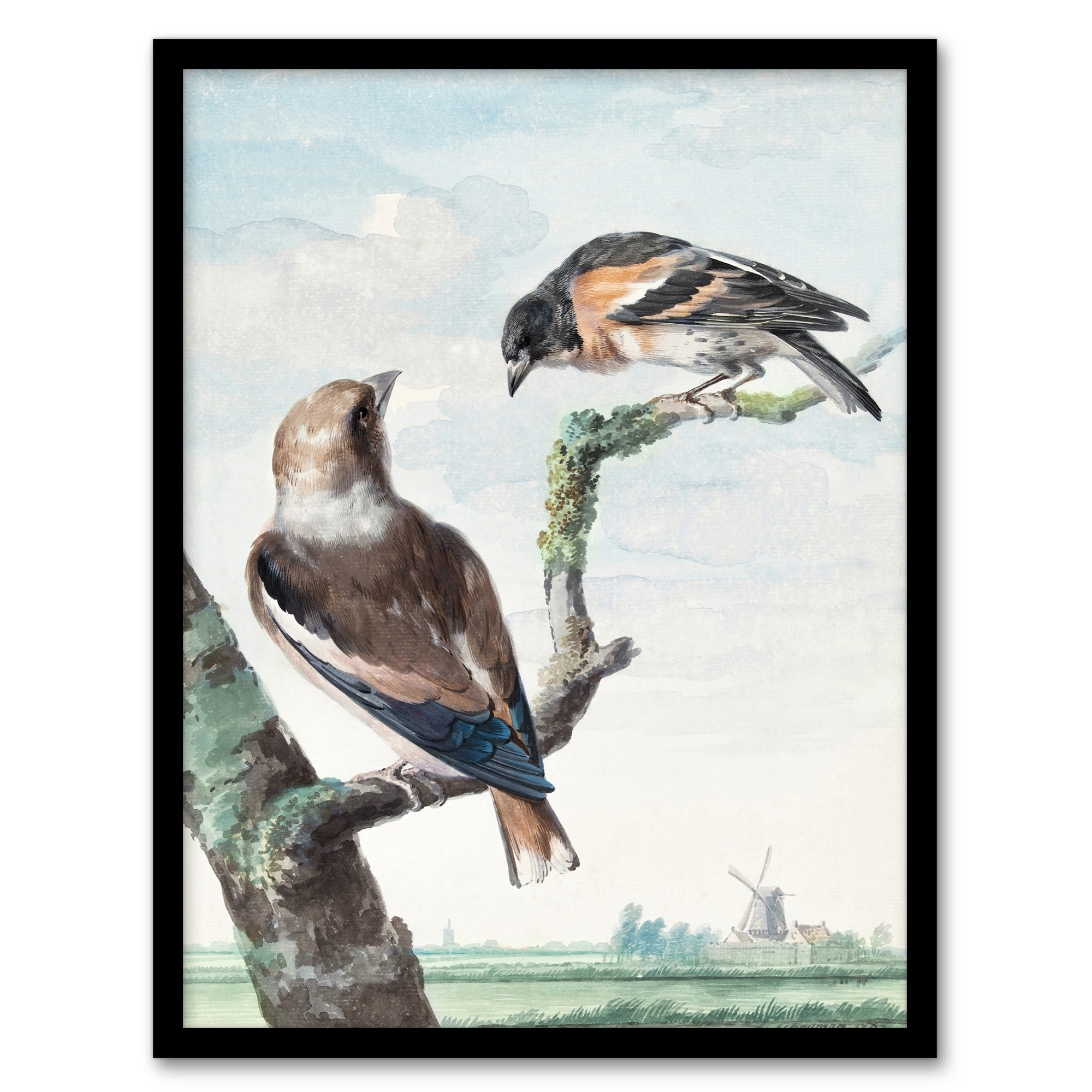 Aert Schouman Framed Wall Art Two Hawfinch Birds in Rural Landscape Home Décor