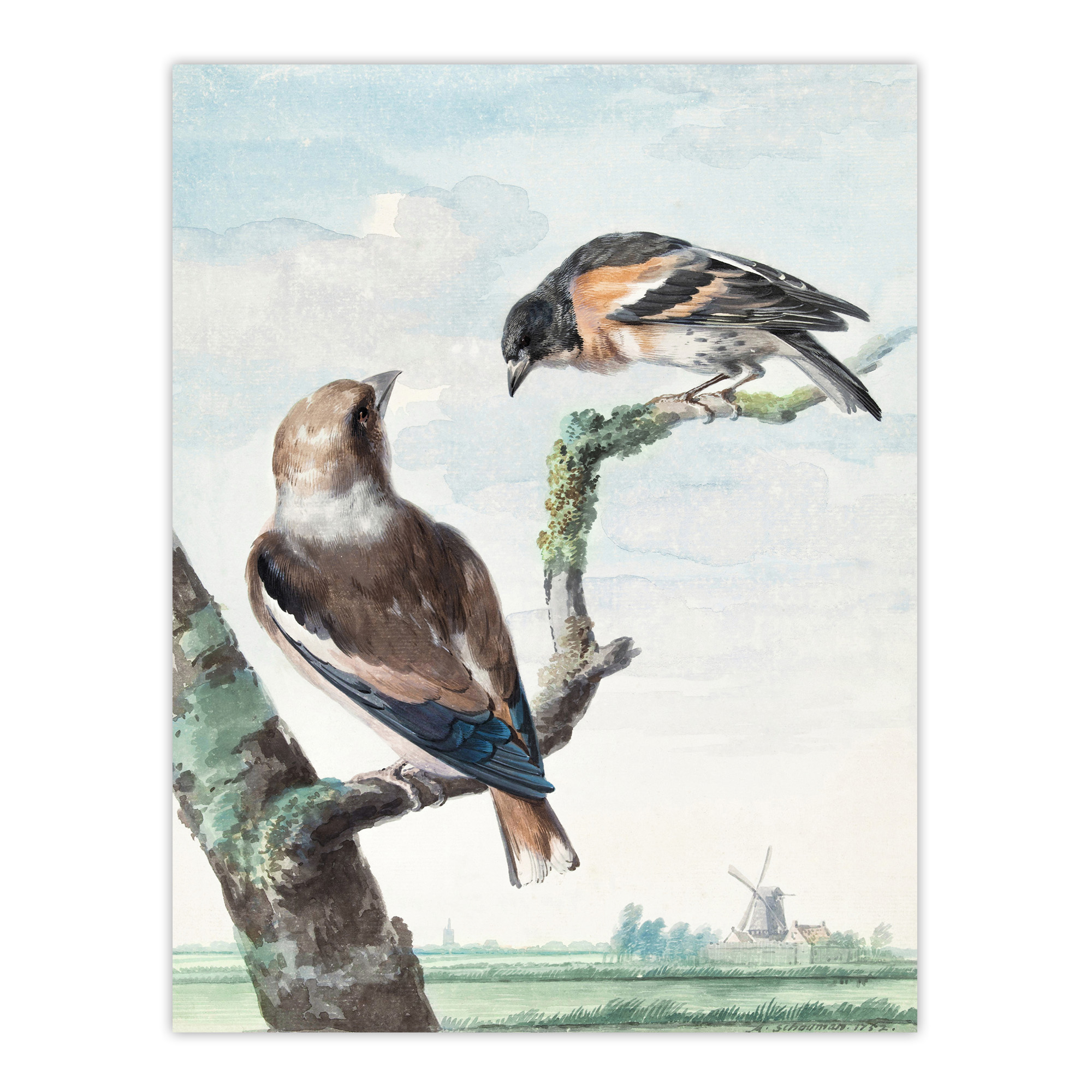 Two Hawfinch Birds in Rural Landscape Schouman Wall Art Poster Print