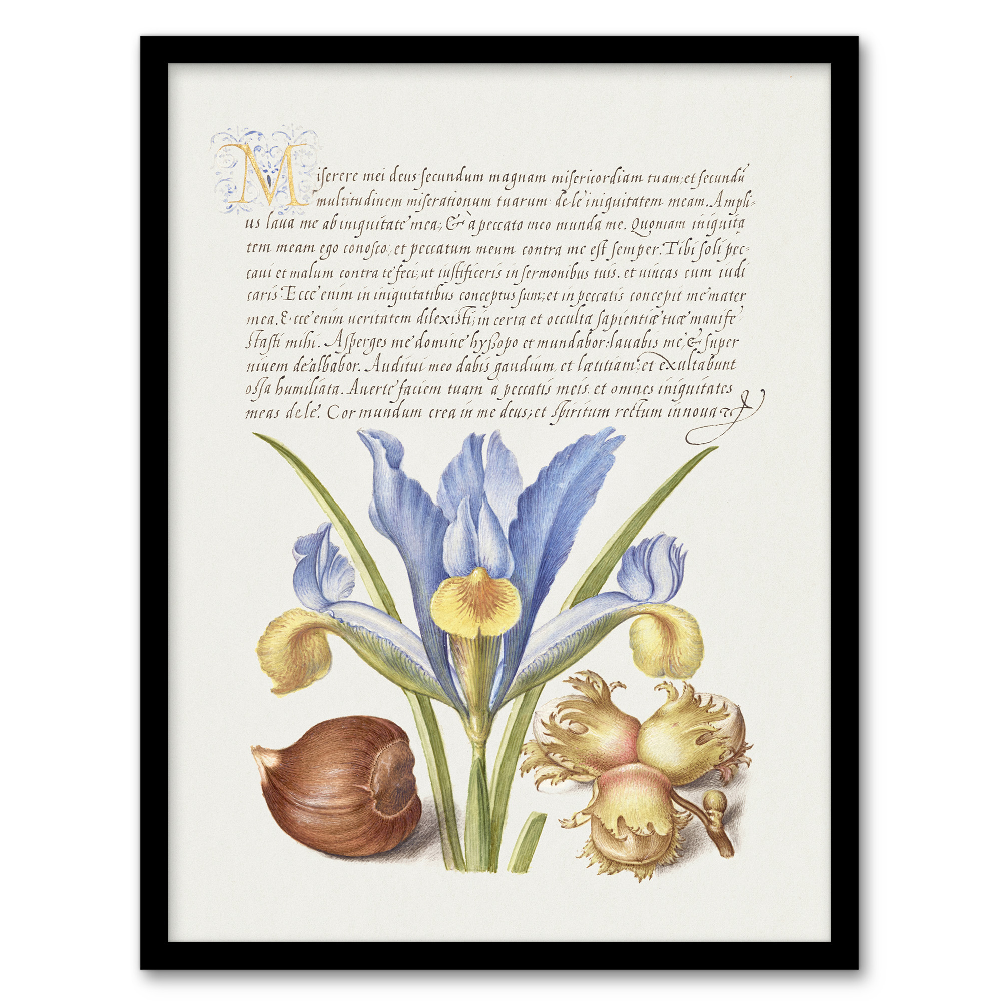 Model Book of Calligraphy Framed Wall Art Iris Flower and Hazelnut Home Décor