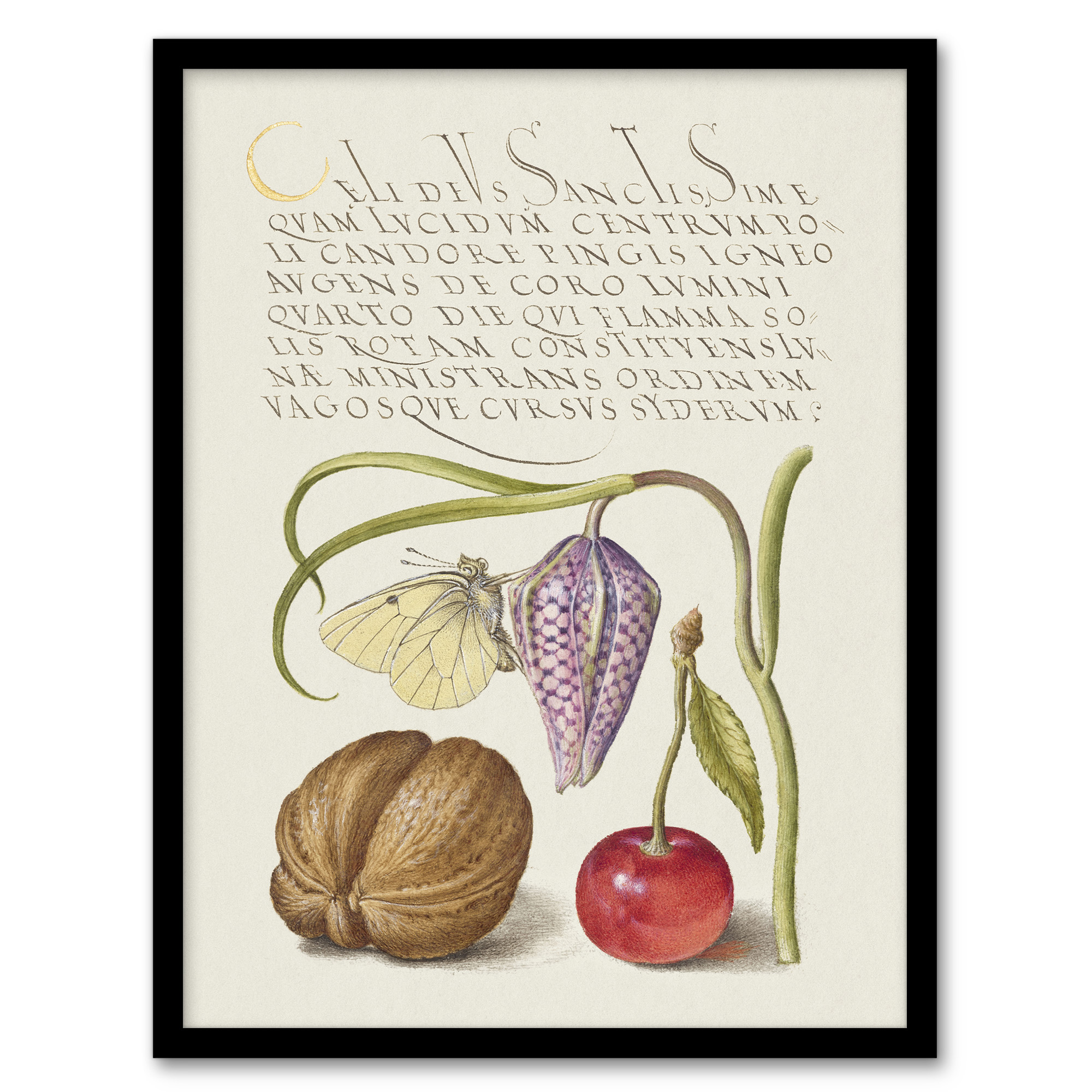 Model Book of Calligraphy Framed Wall Art Snakeshead Walnut and Cherry