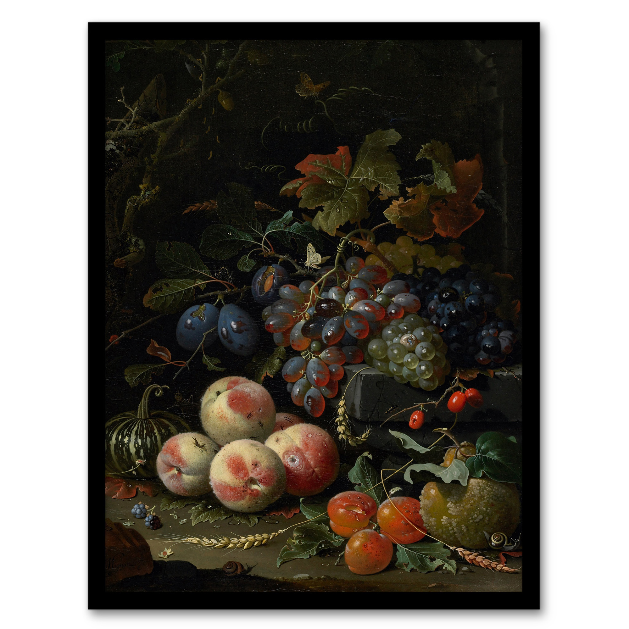 Still Life With Fruit Foliage and Insects Mignon Framed Wall Art Print A3/A4