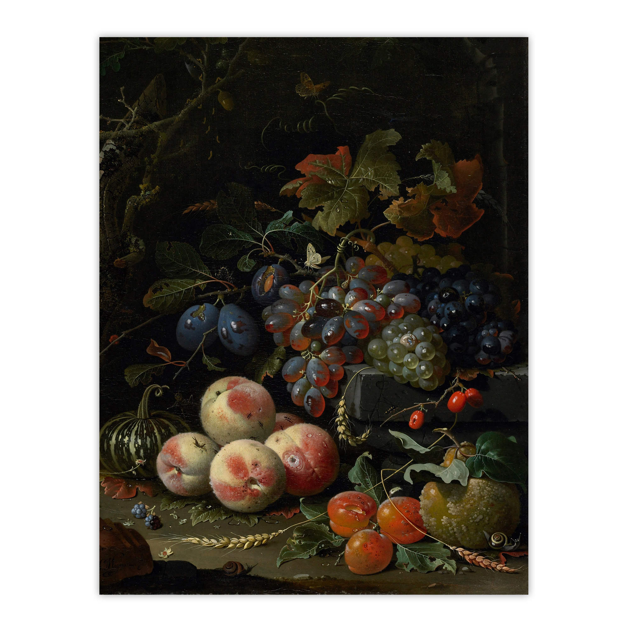 Still Life With Fruit Foliage and Insects Mignon Wall Art Poster Print