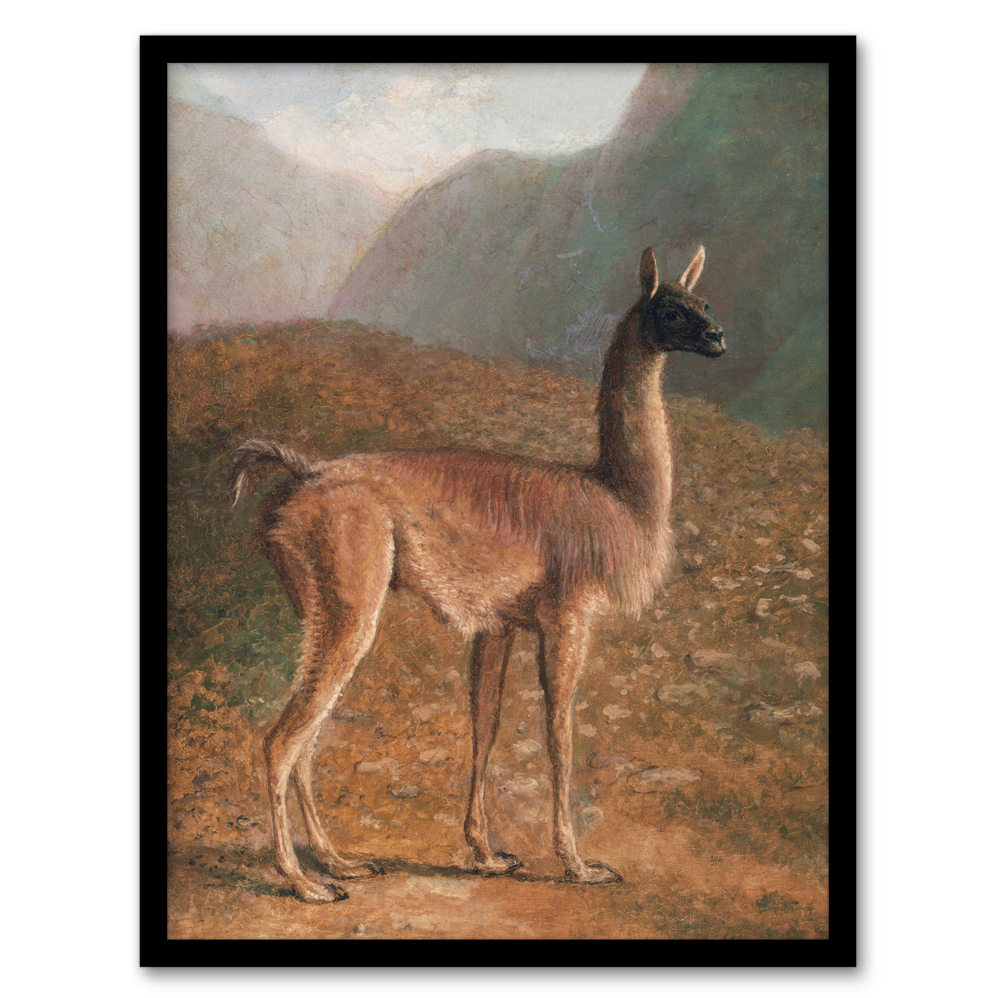 Guanaco Llama in Mountain Landscape Agasse Wall Art Poster Print