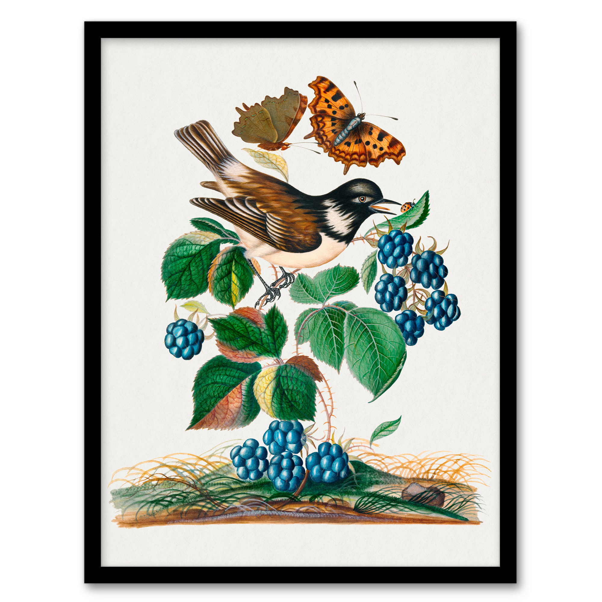 Bramble Rubus Starling and Butterflies Bolton Framed Wall Art Print A3/A4