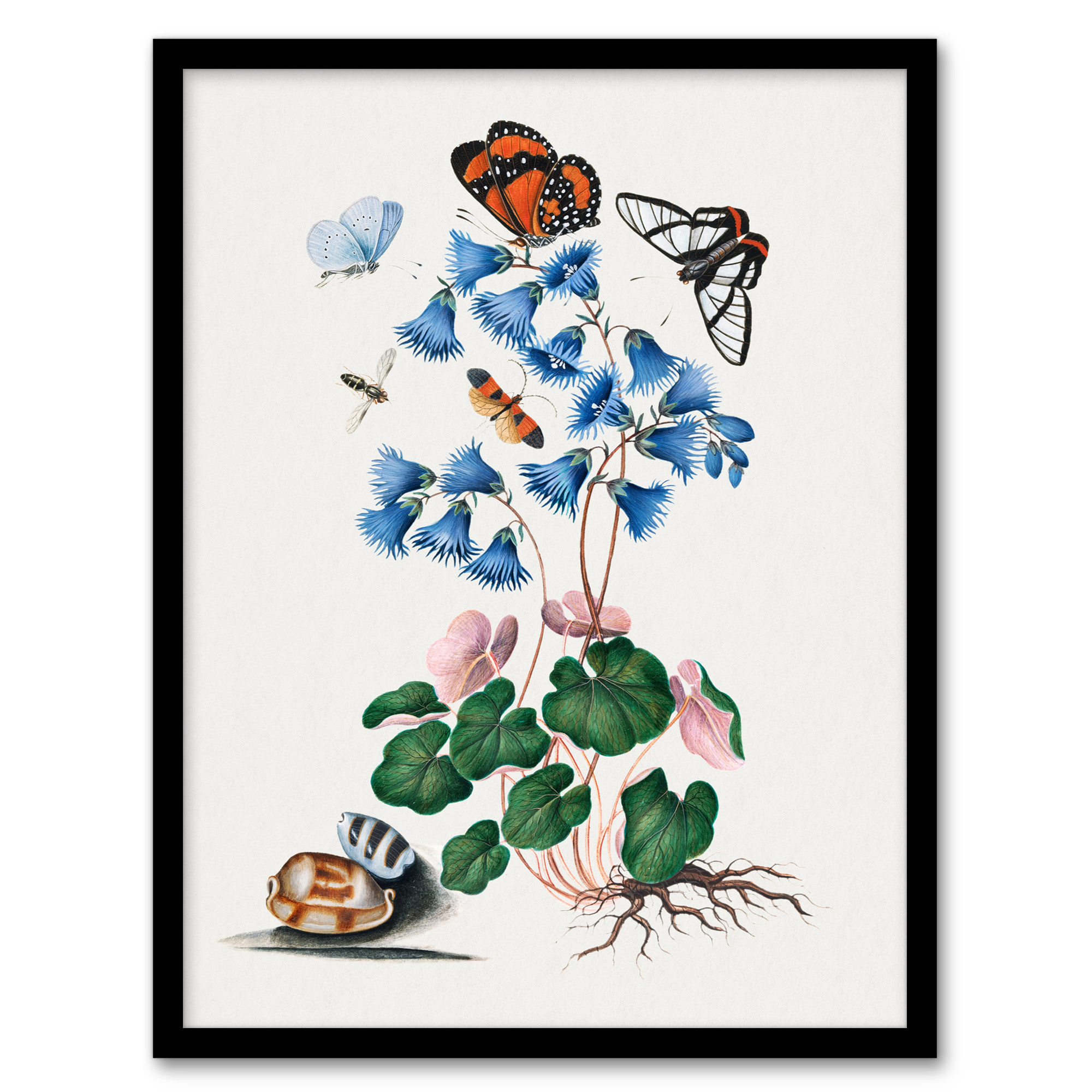 Soldanella Flower and Butterflies Bolton Framed Wall Art Print A3/A4