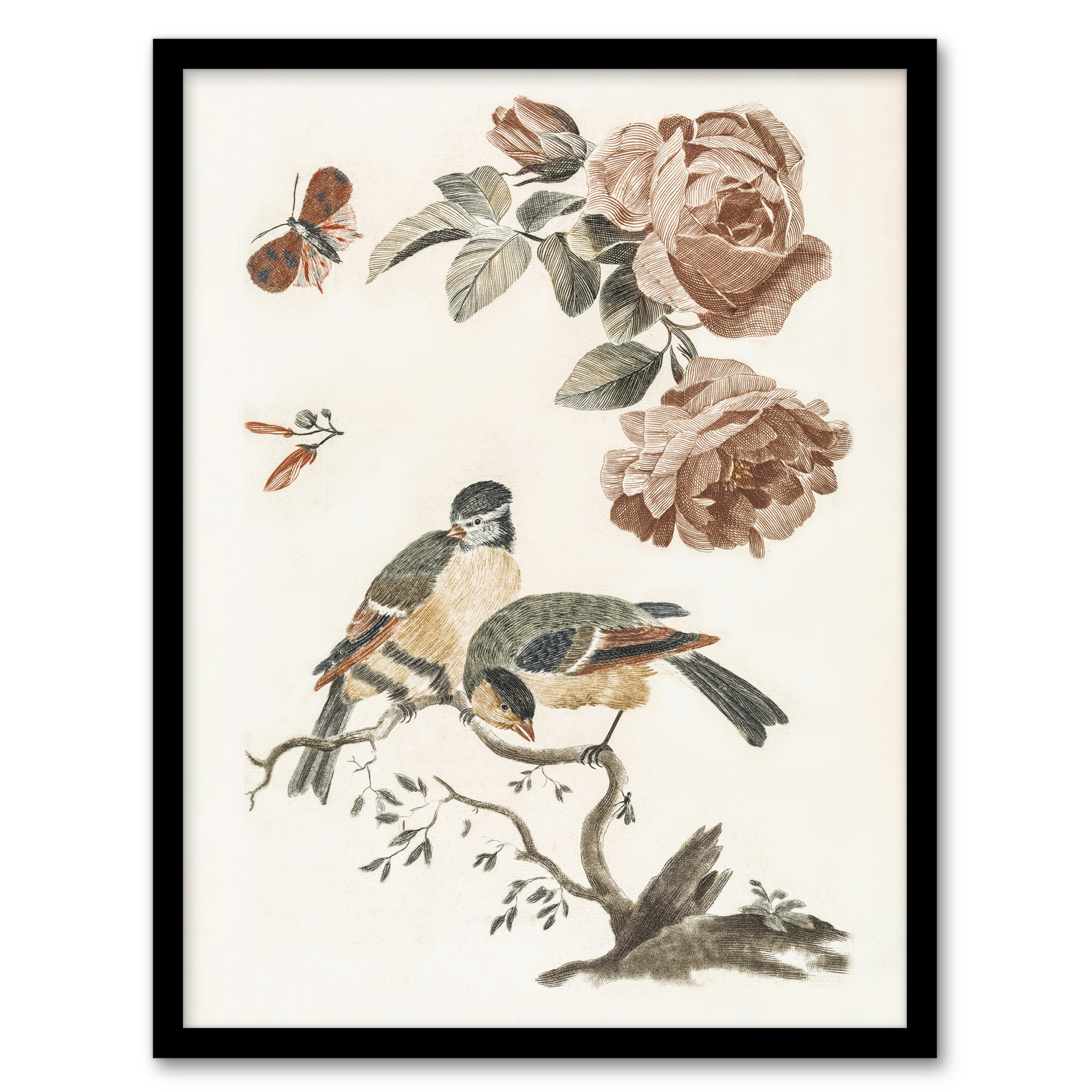 Roses Butterfly A Blue and Great Tit Teyler Framed Wall Art Print A3/A4