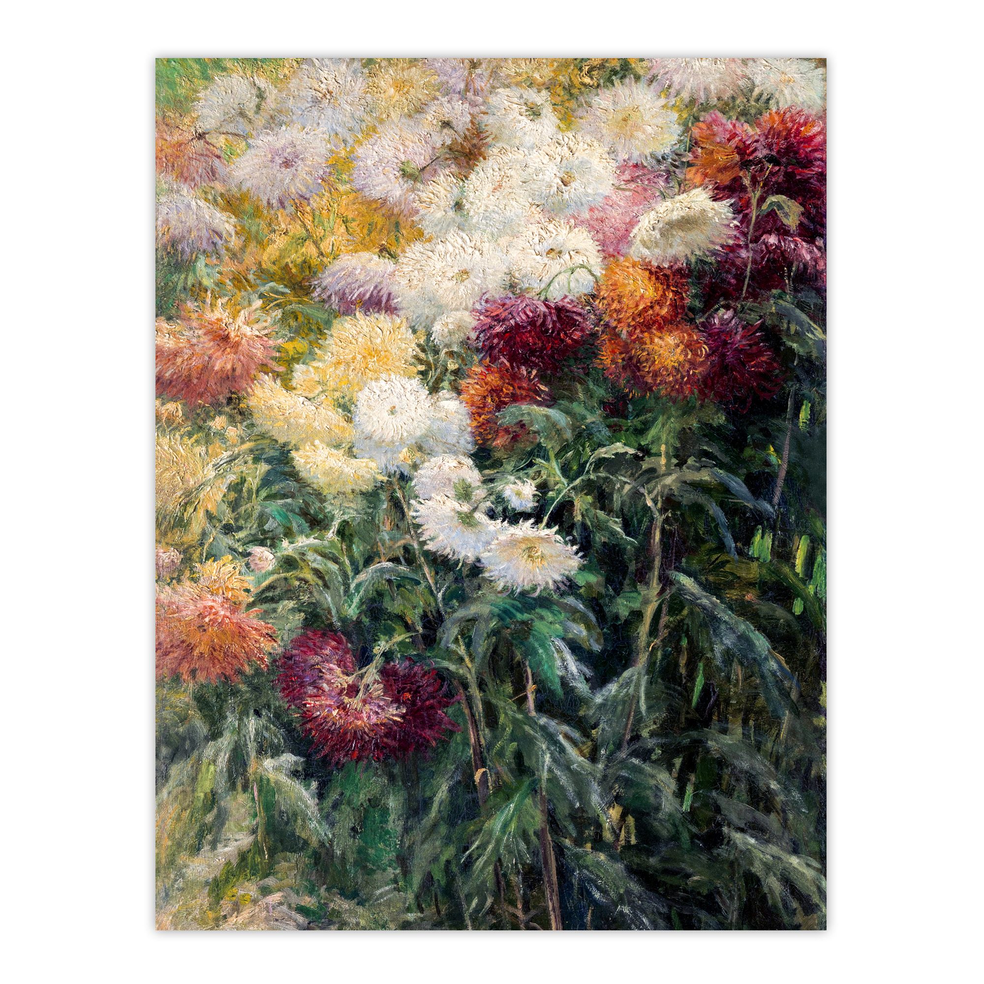 Gustave Caillebotte Chrysanthemums in the Garden Wall Art Print