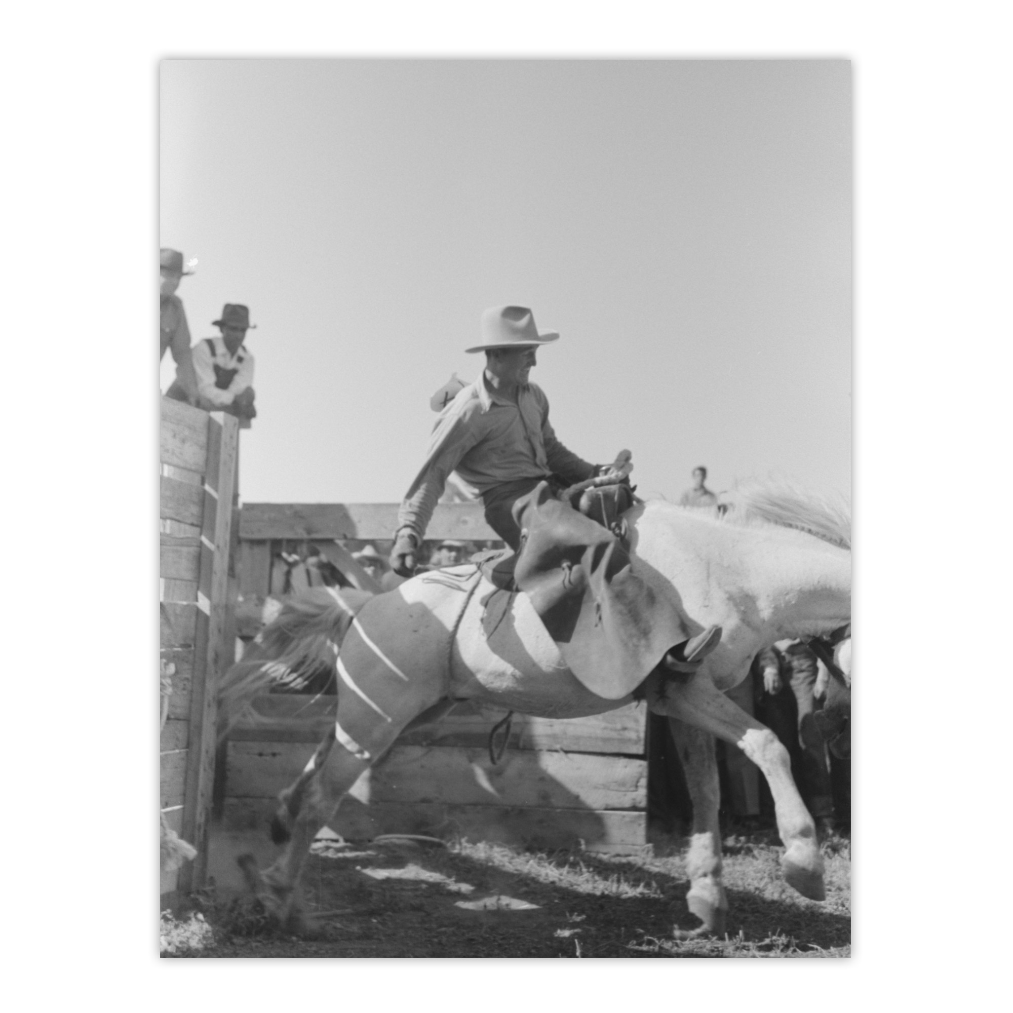 Russell Lee Cowboy at Bean Day Rodeo Action Shot Wall Art Print